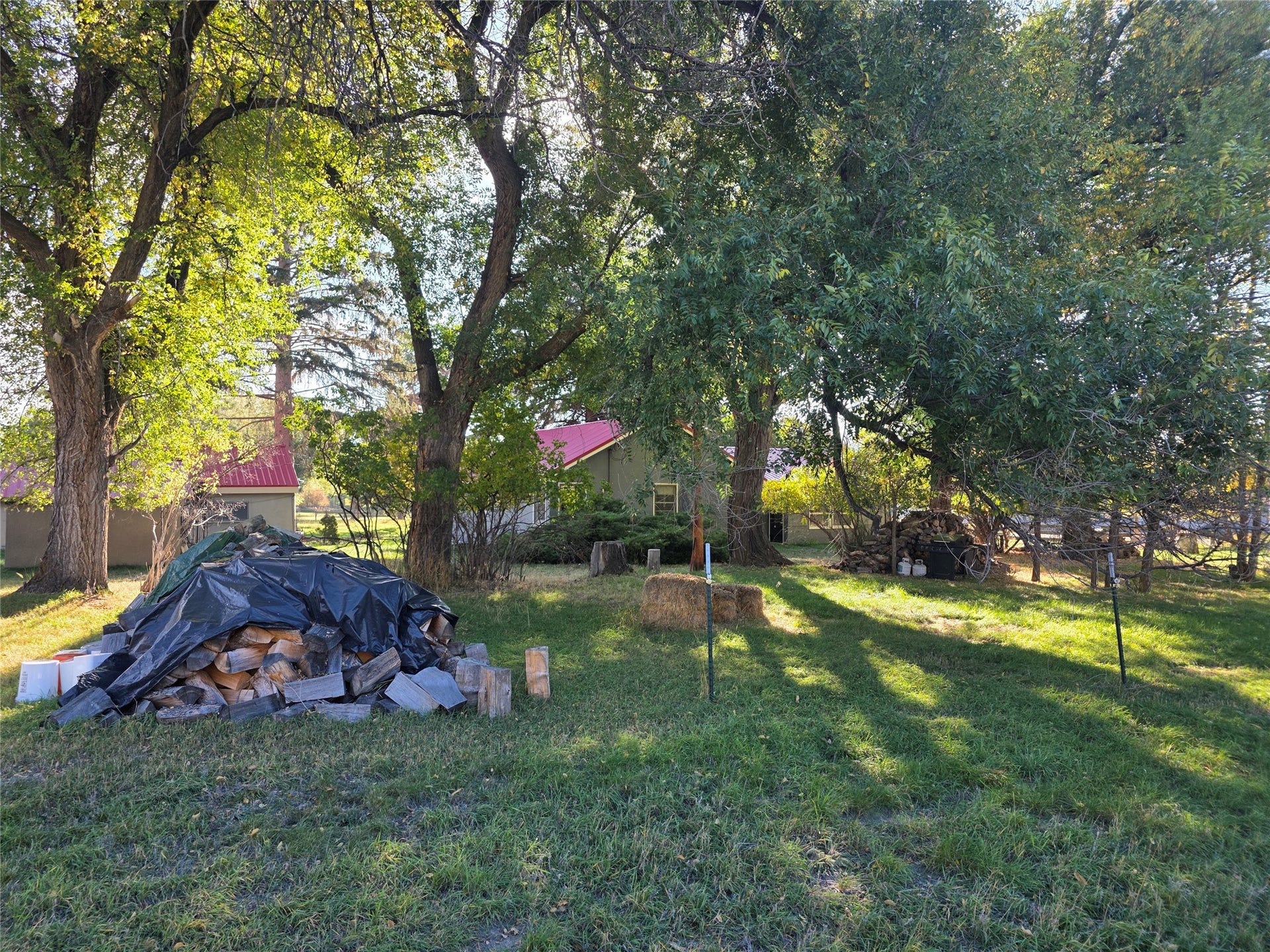 115 Ricketts Road, Hamilton, MT 59840 Backyard