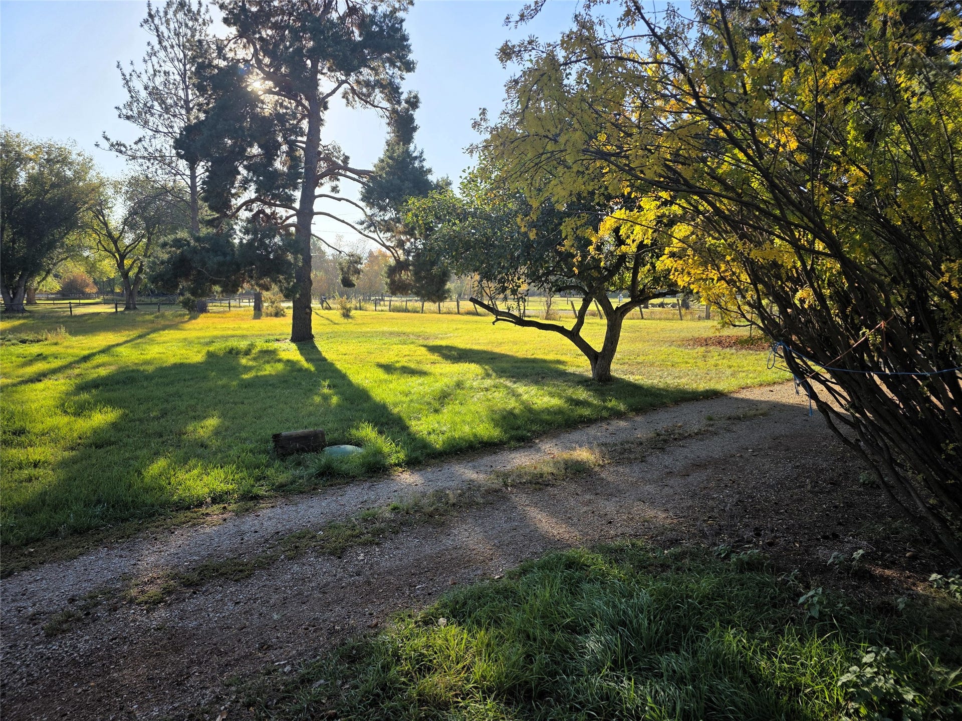 115 Ricketts Road, Hamilton, MT 59840 Expansive lawn with mature trees, a gravel driveway, and distant fencing