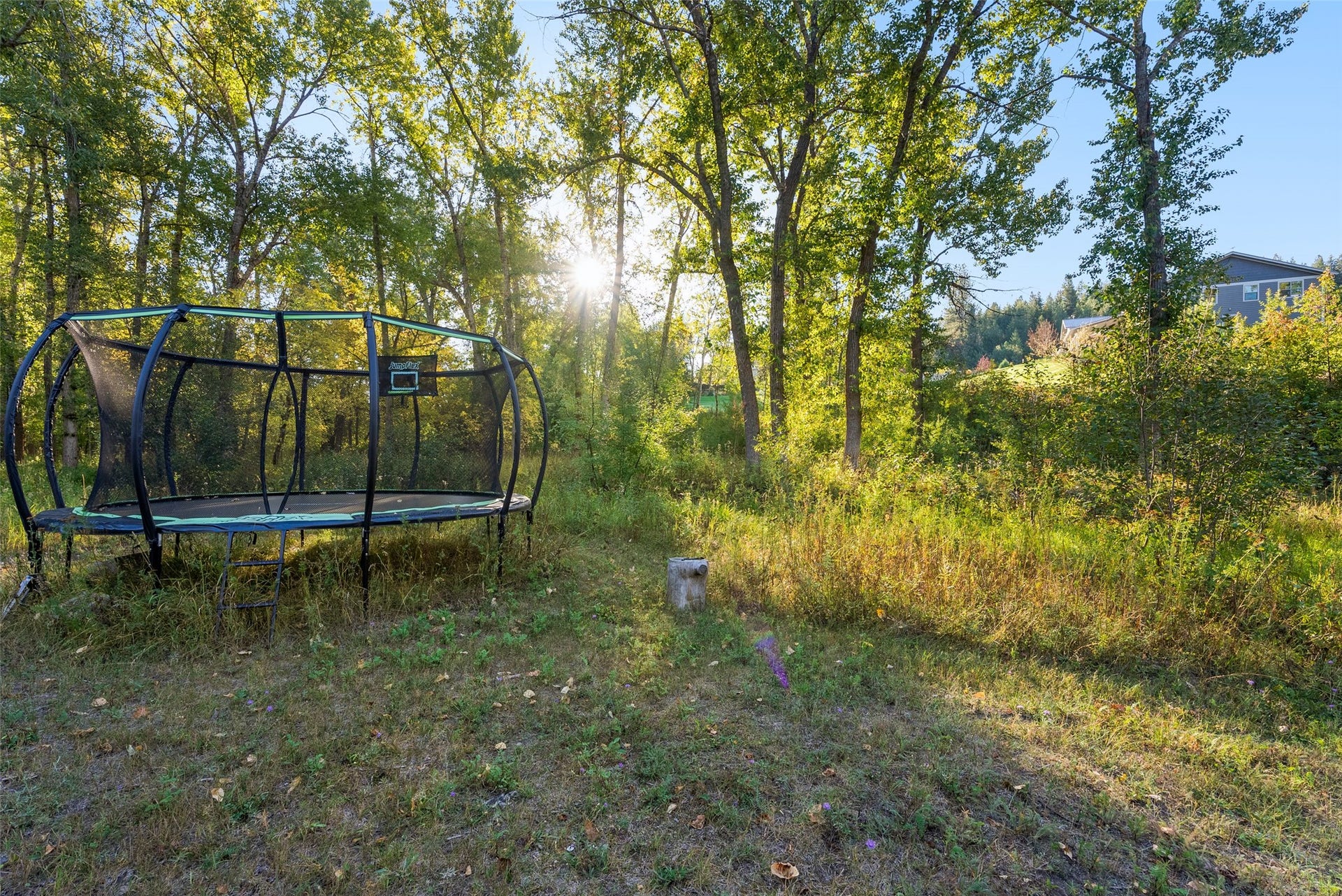 8350 Vann Drive, Lolo, MT 59847