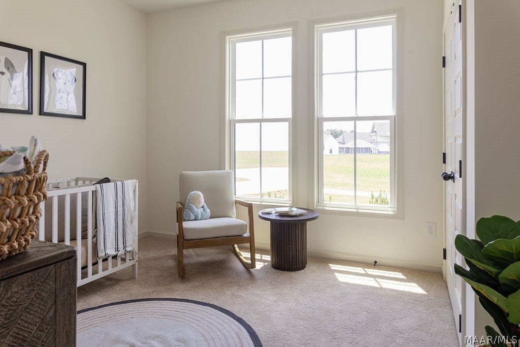 62 Blackberry Boulevard, Pike Road, AL 36064 62 Blackberry Boulevard, Pike Road, AL 36064