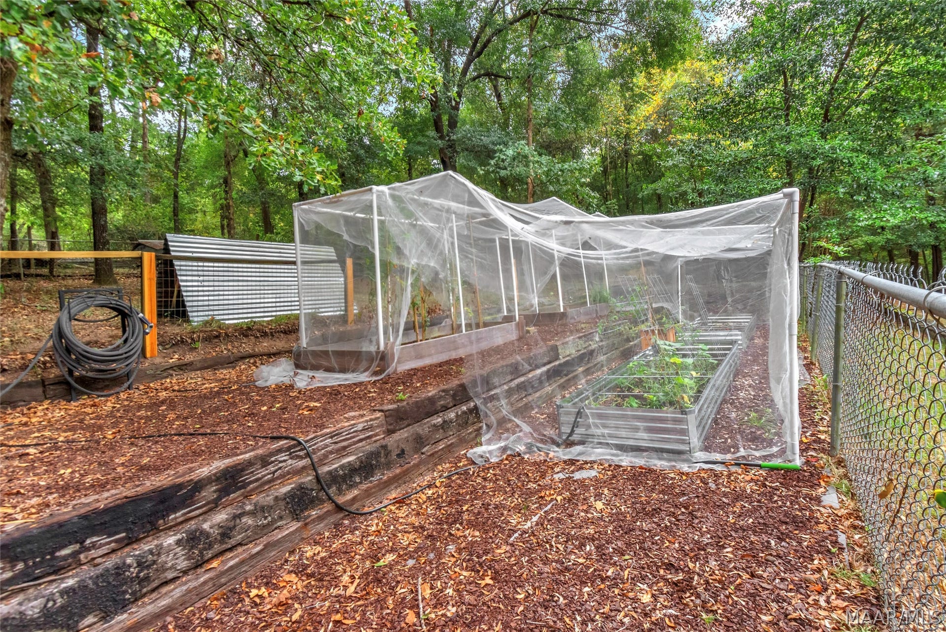 Green House