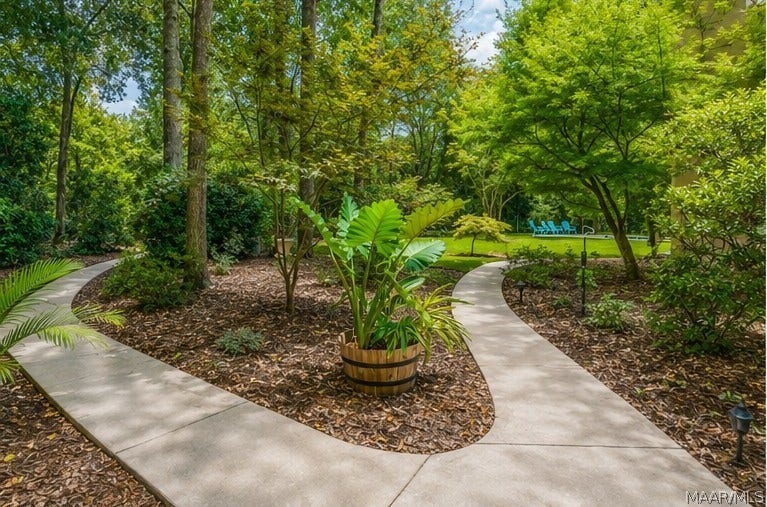 Beautifully landscaped, park-like backyard with mature trees and winding garden paths leading toward the pool.