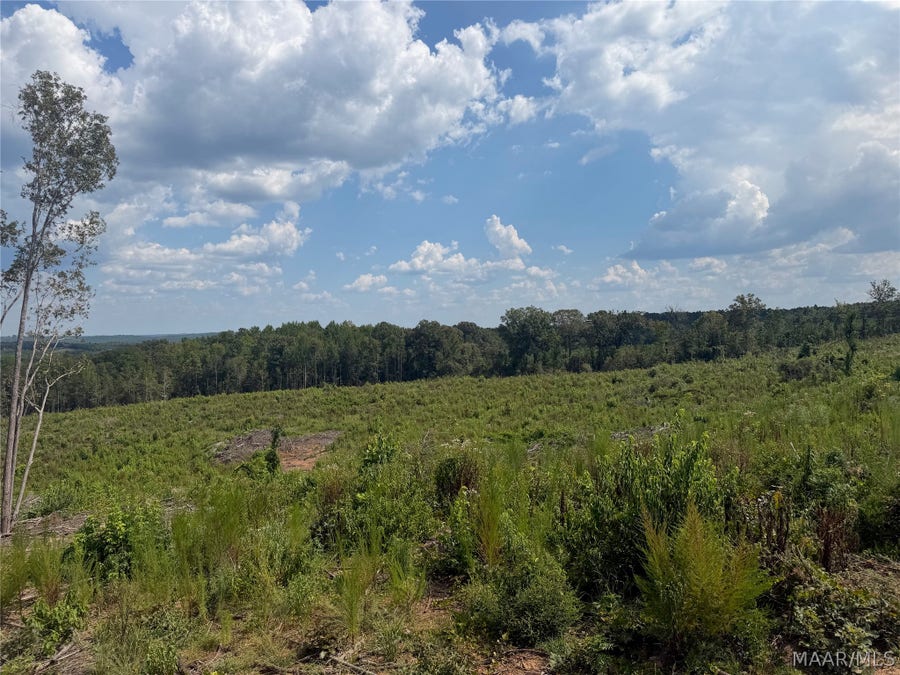 Property photo for 01 County Road 7, Plantersville, AL