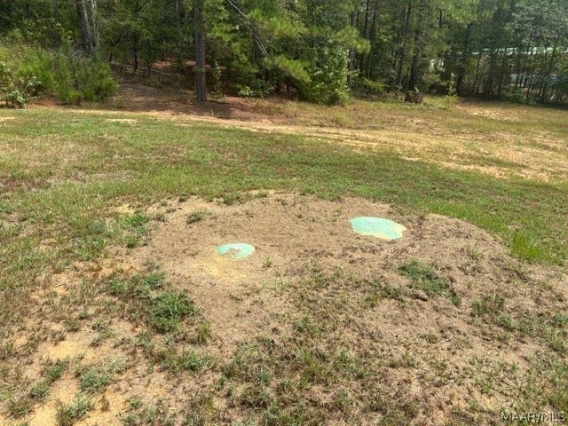1169 River Falls Road, Wetumpka, AL 36092