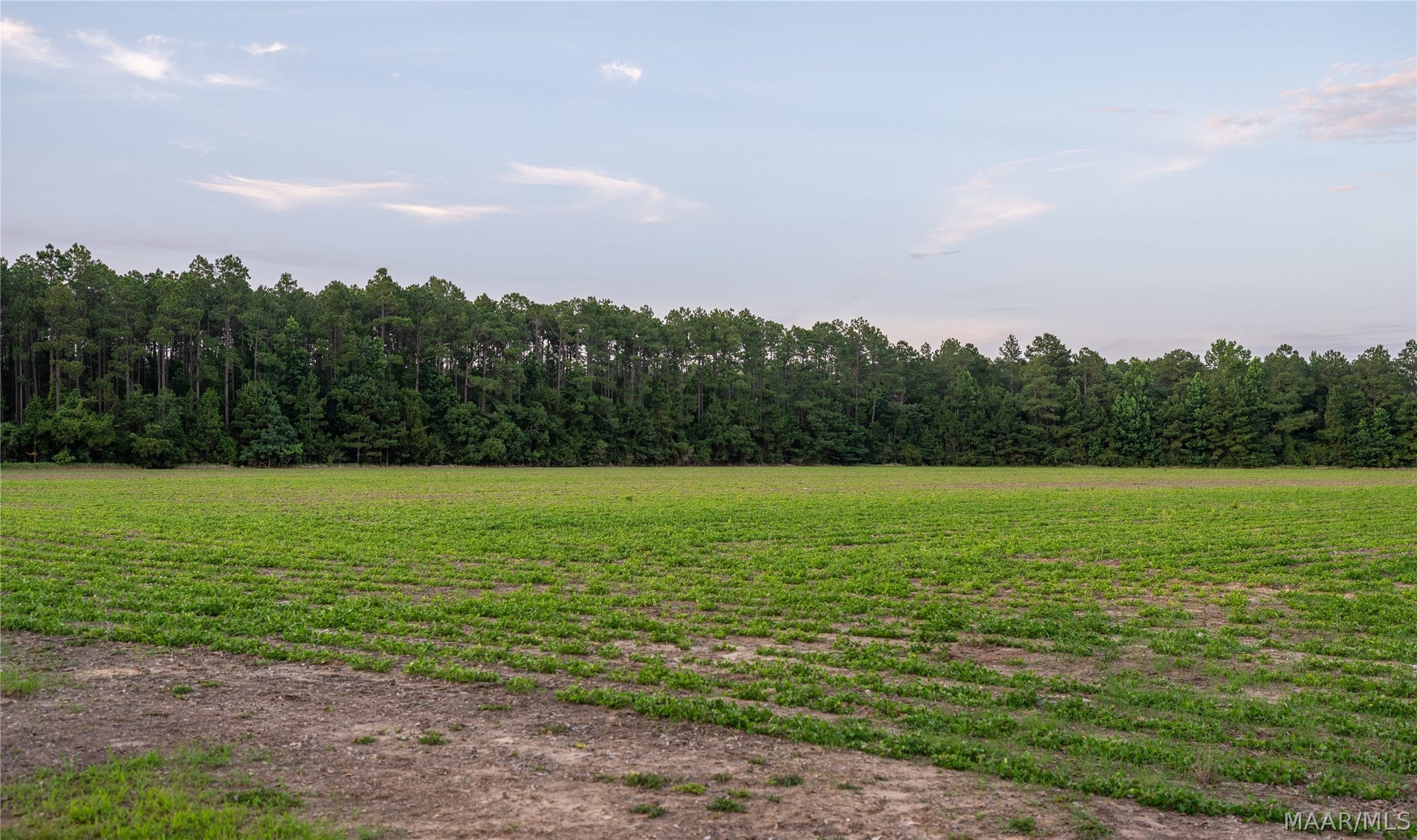 000 Pine Road, Stapleton, AL 36578 000 Pine Road, Stapleton, AL 36578