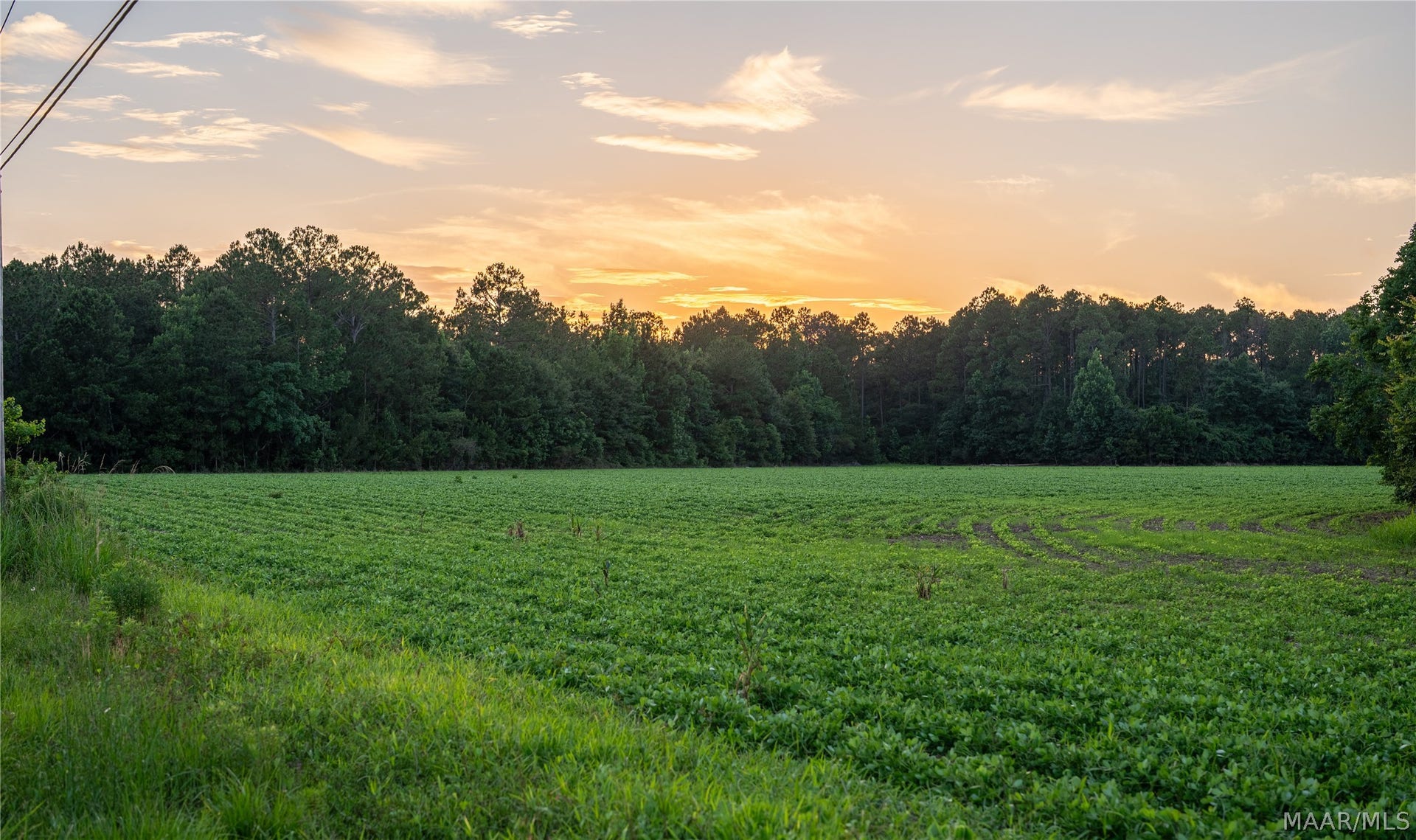 000 Pine Road, Stapleton, AL 36578 000 Pine Road, Stapleton, AL 36578
