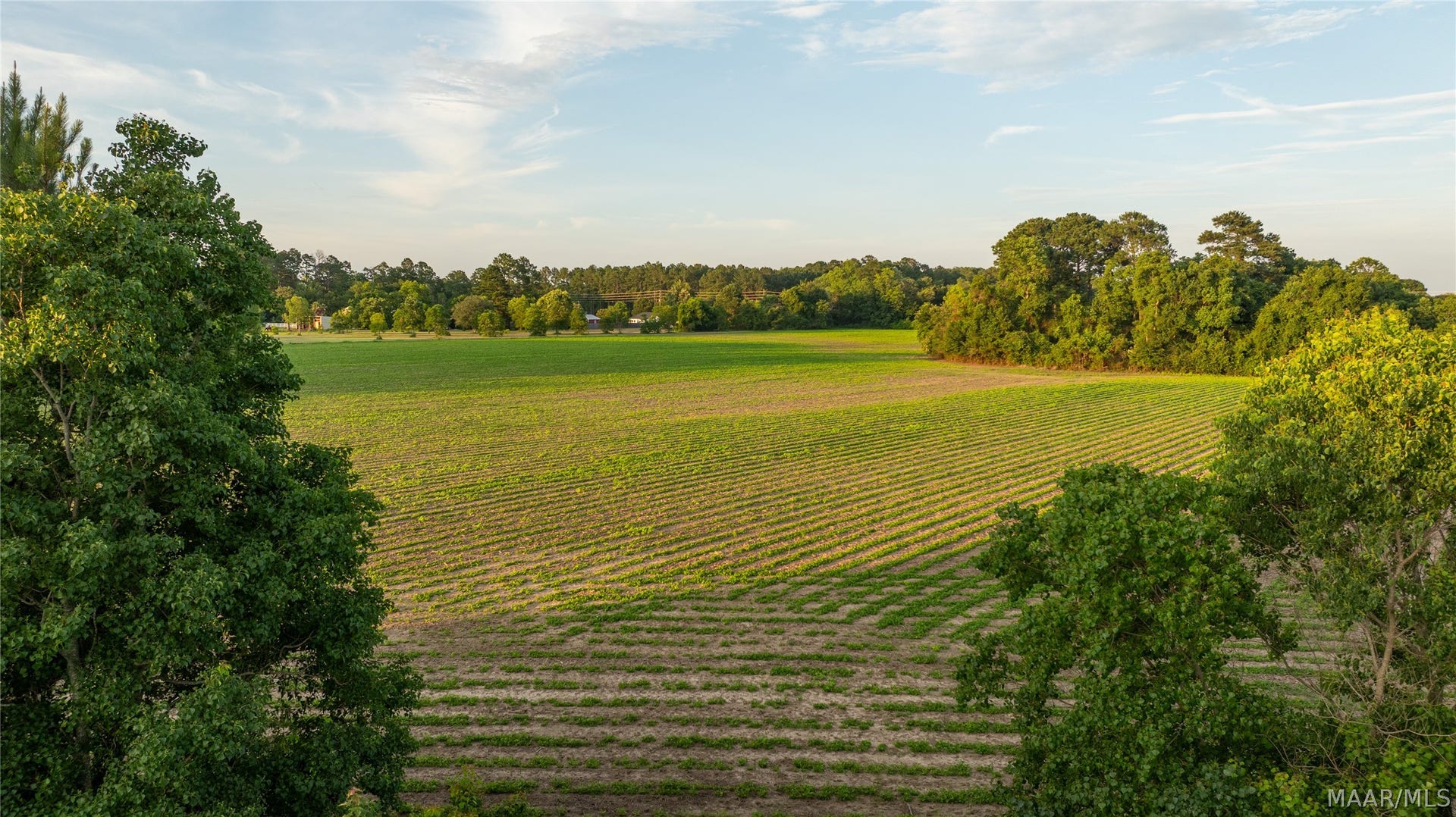 000 Pine Road, Stapleton, AL 36578 000 Pine Road, Stapleton, AL 36578
