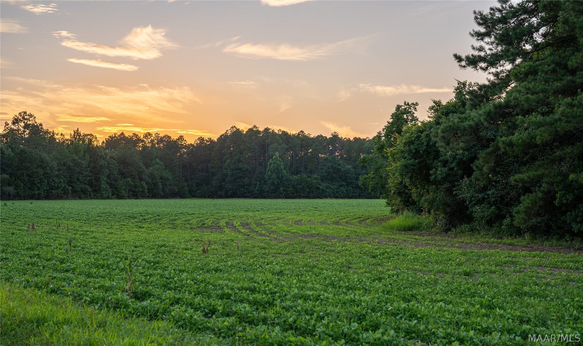 000 Pine Road, Stapleton, AL 36578 000 Pine Road, Stapleton, AL 36578
