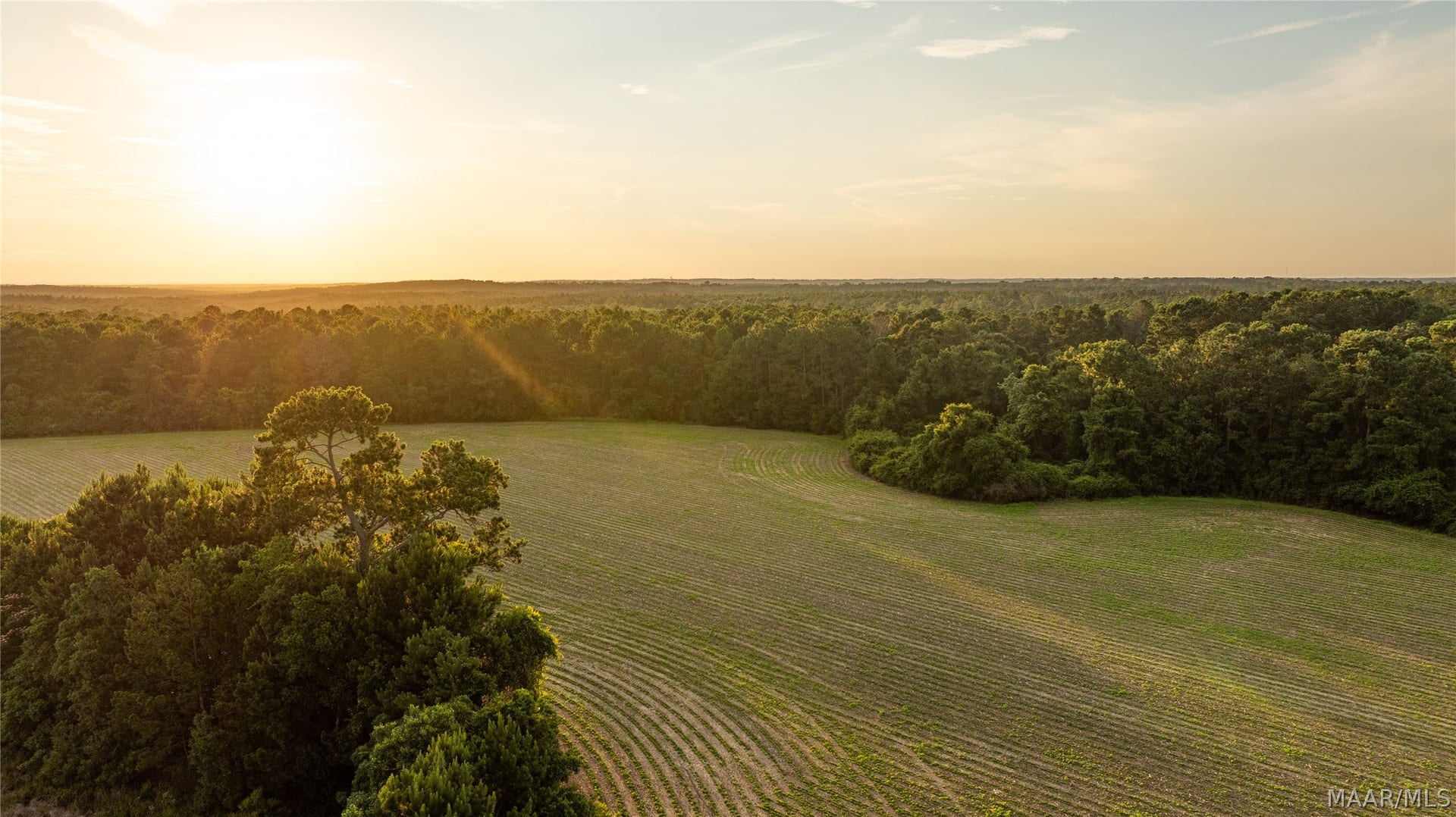 000 Pine Road, Stapleton, AL 36578 000 Pine Road, Stapleton, AL 36578