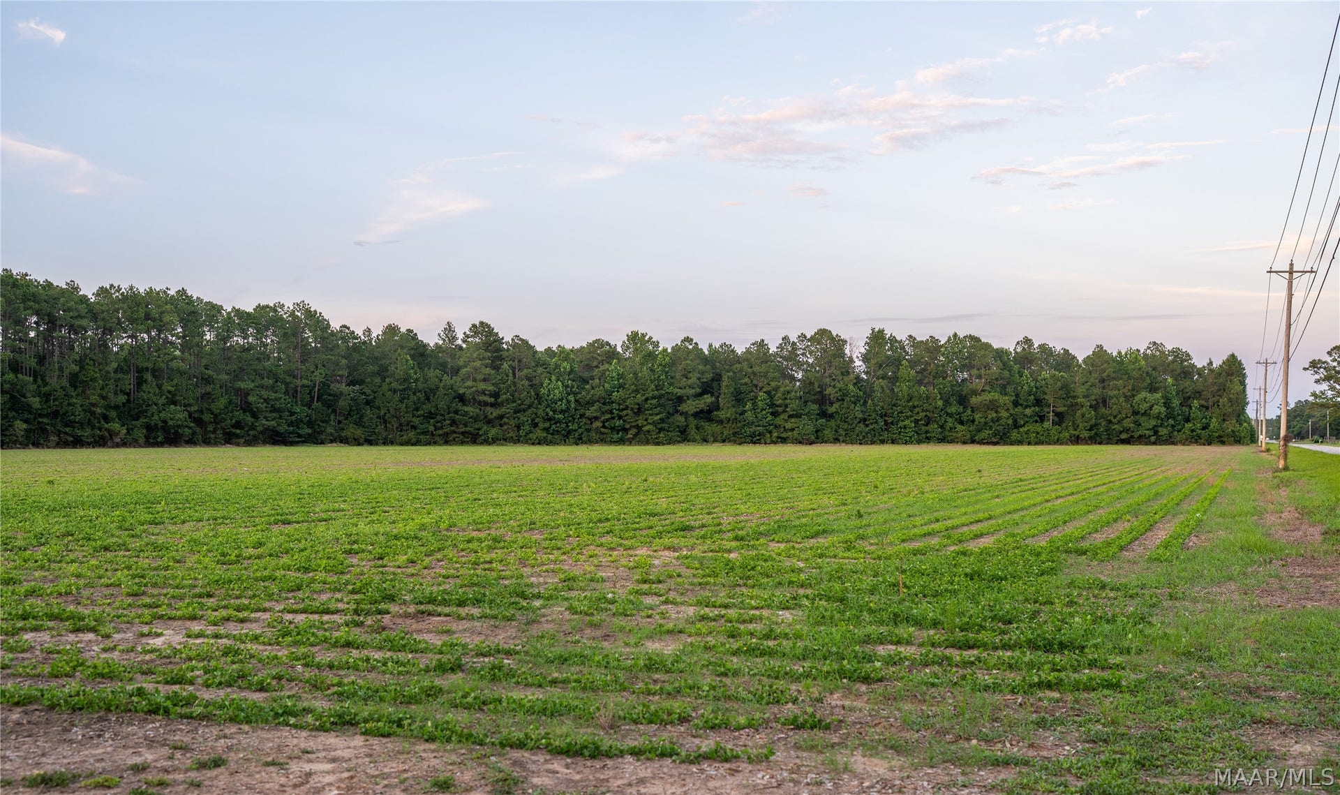 000 Pine Road, Stapleton, AL 36578 000 Pine Road, Stapleton, AL 36578