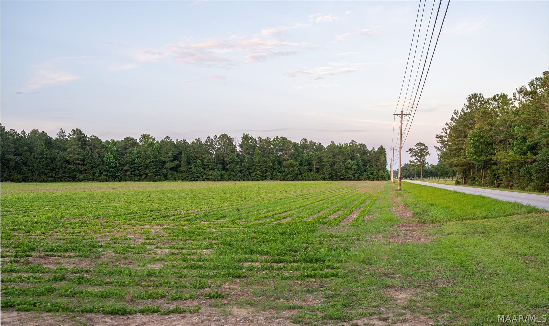 000 Pine Road, Stapleton, AL 36578 000 Pine Road, Stapleton, AL 36578
