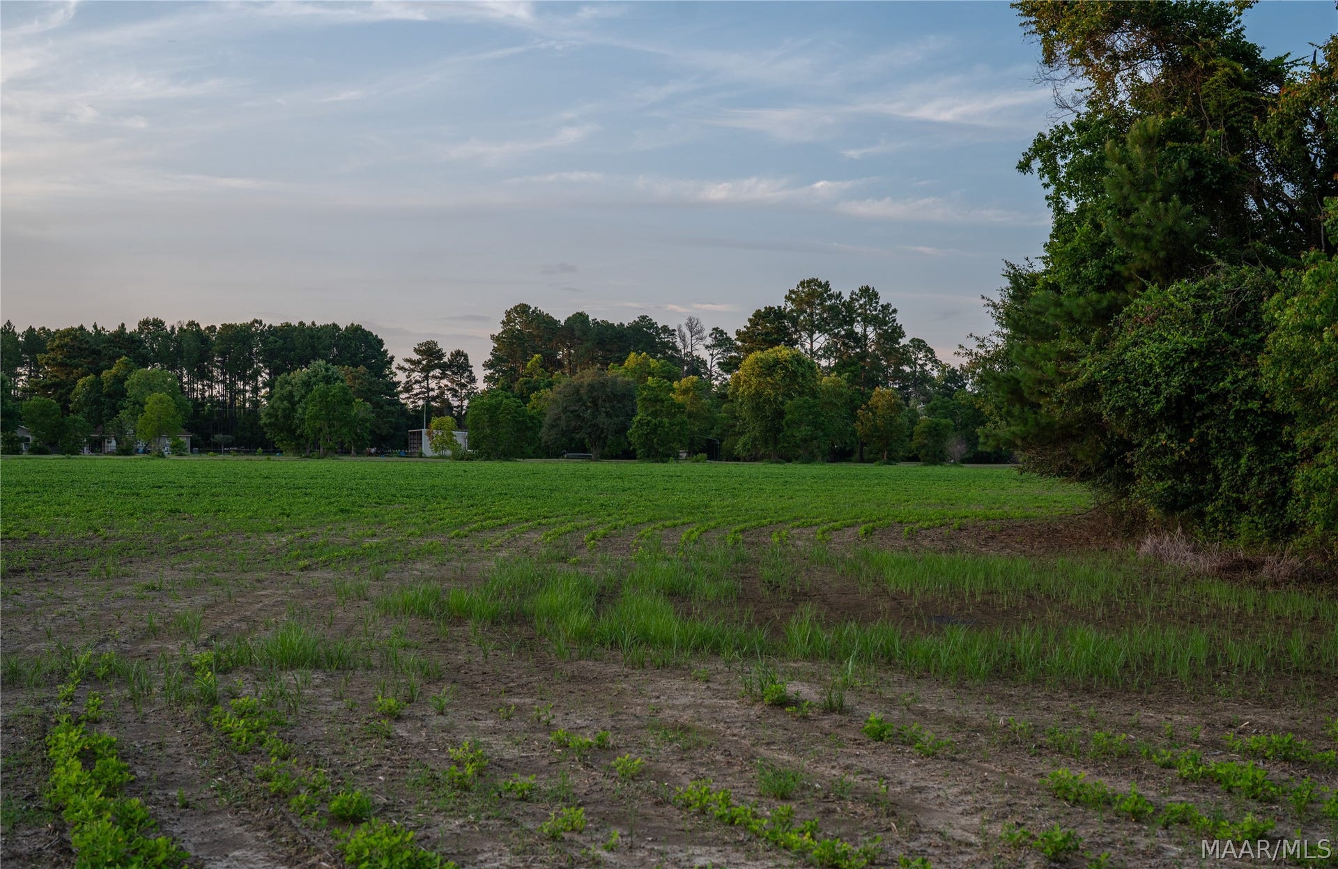 000 Pine Road, Stapleton, AL 36578 000 Pine Road, Stapleton, AL 36578