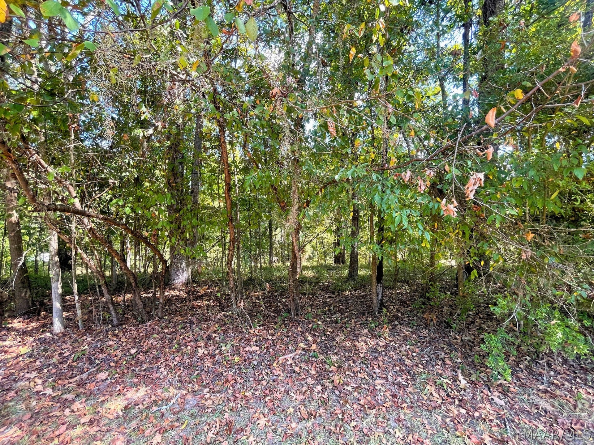 135 Arrowhead Point, Orrville, AL 36767 135 Arrowhead Point, Orrville, AL 36767