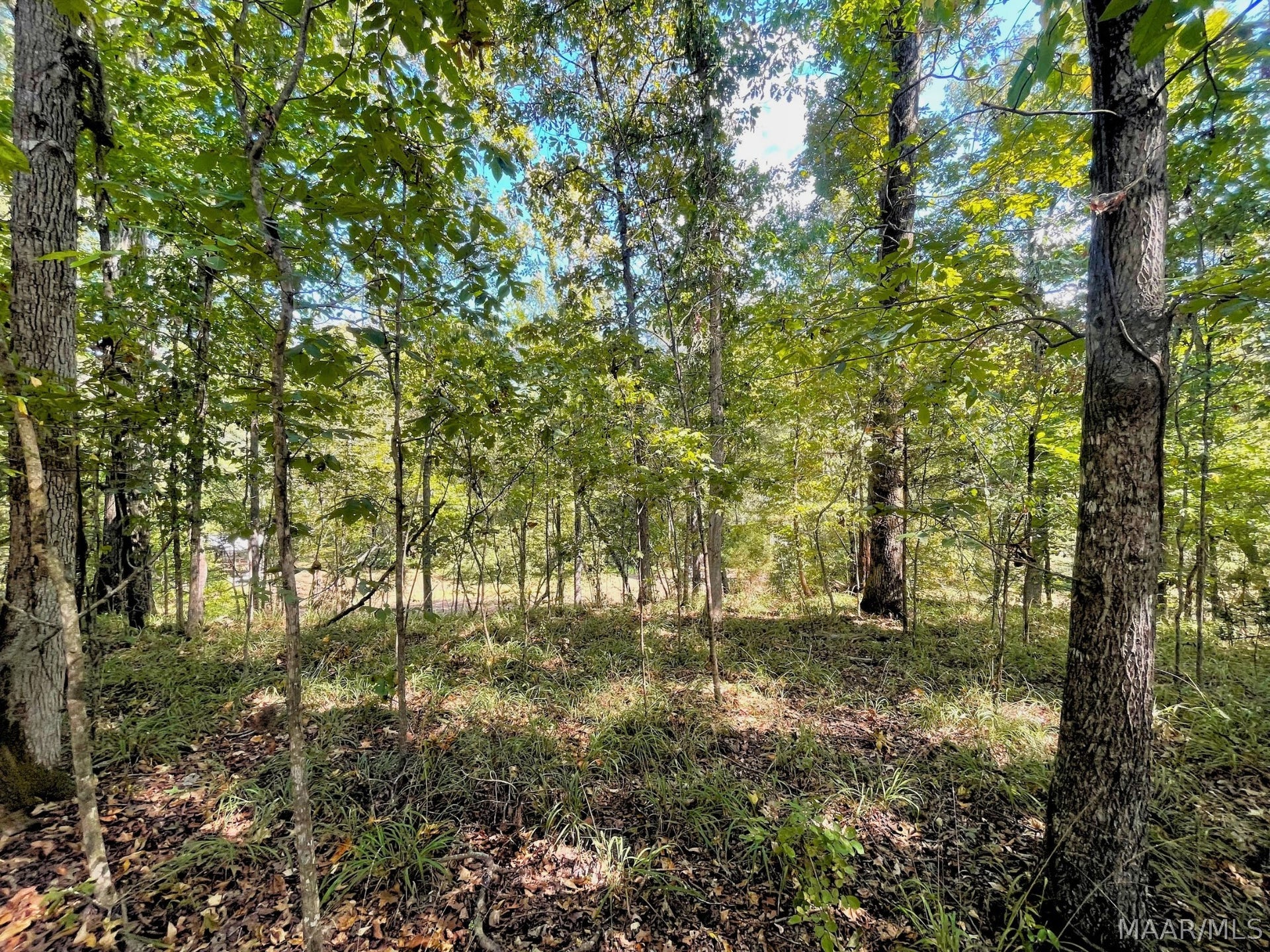 135 Arrowhead Point, Orrville, AL 36767 135 Arrowhead Point, Orrville, AL 36767