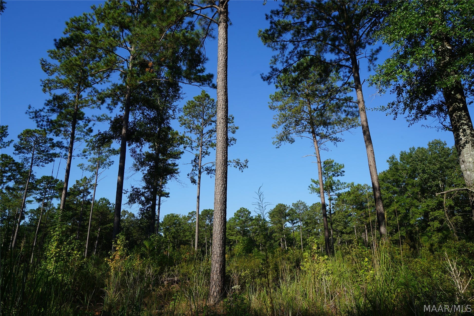 2202 Gibson Road, Montgomery, AL 36116 2202 Gibson Road, Montgomery, AL 36116