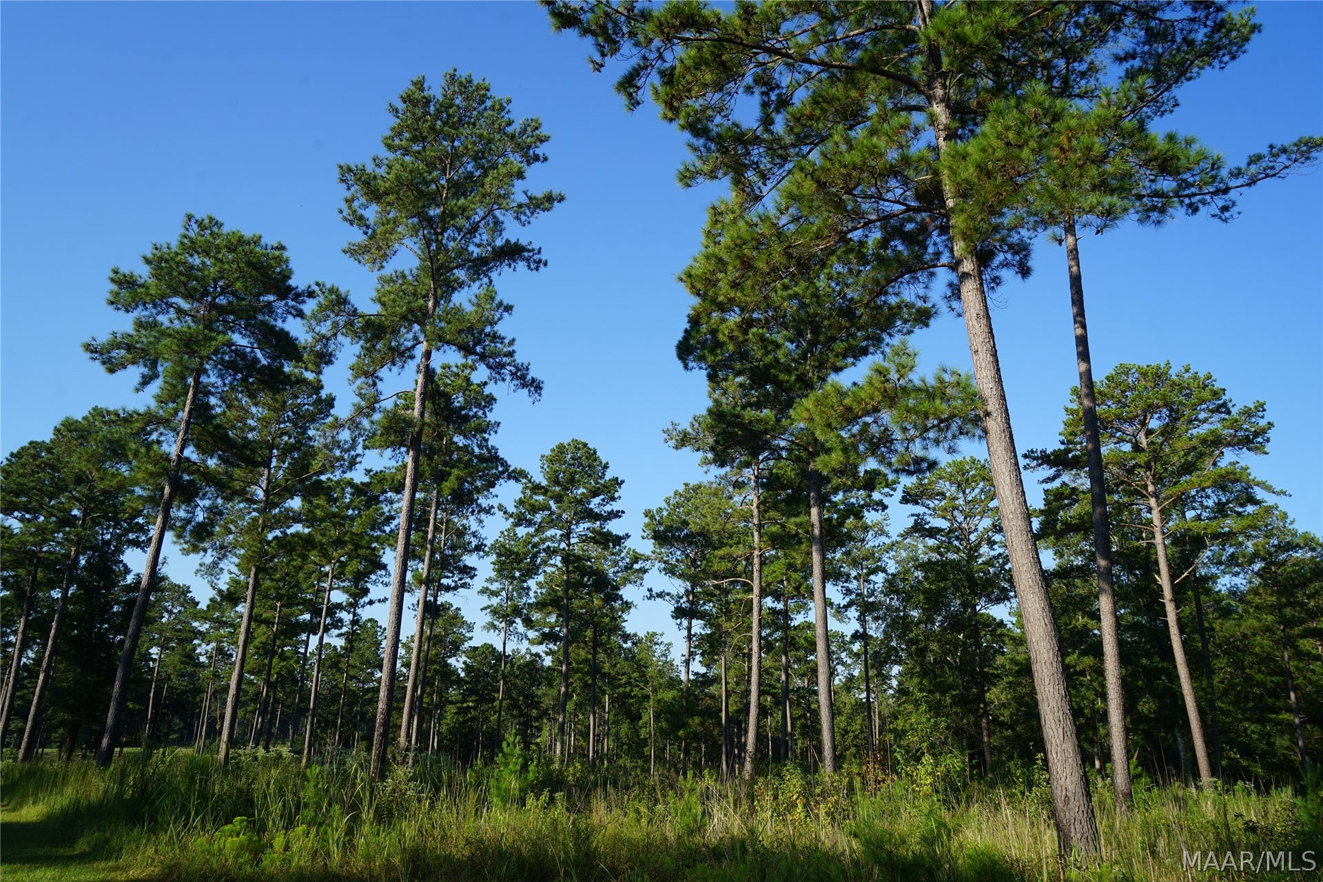 2202 Gibson Road, Montgomery, AL 36116 2202 Gibson Road, Montgomery, AL 36116