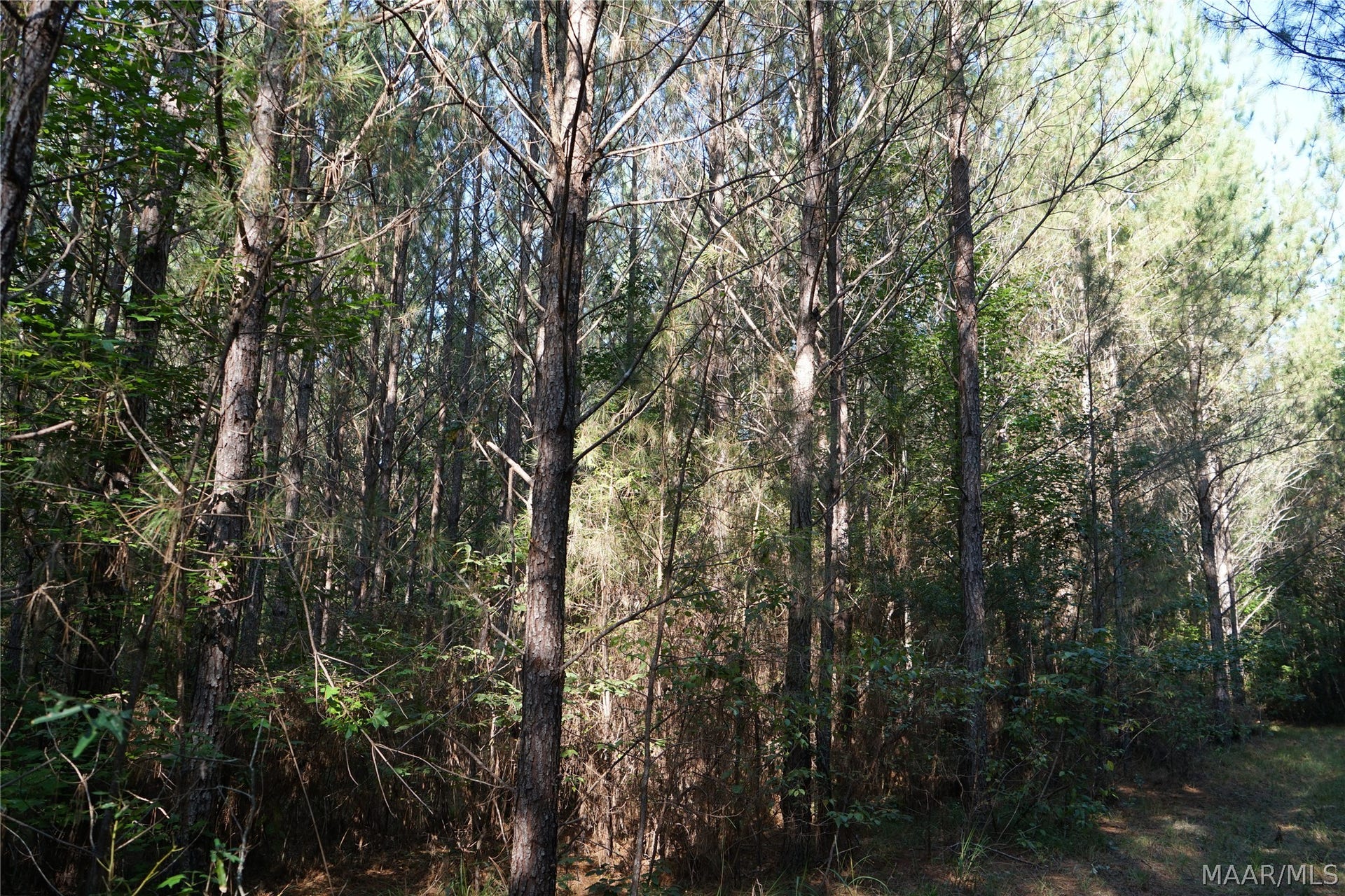 2202 Gibson Road, Montgomery, AL 36116 2202 Gibson Road, Montgomery, AL 36116