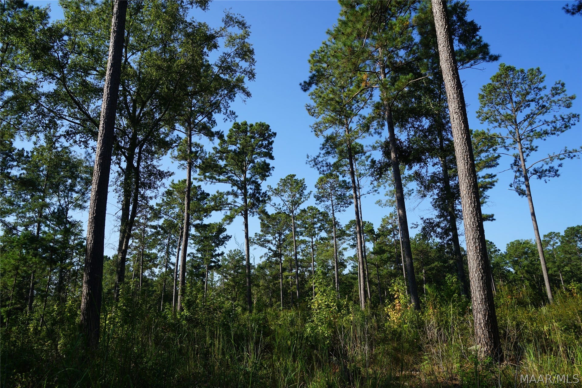 2202 Gibson Road, Montgomery, AL 36116 2202 Gibson Road, Montgomery, AL 36116