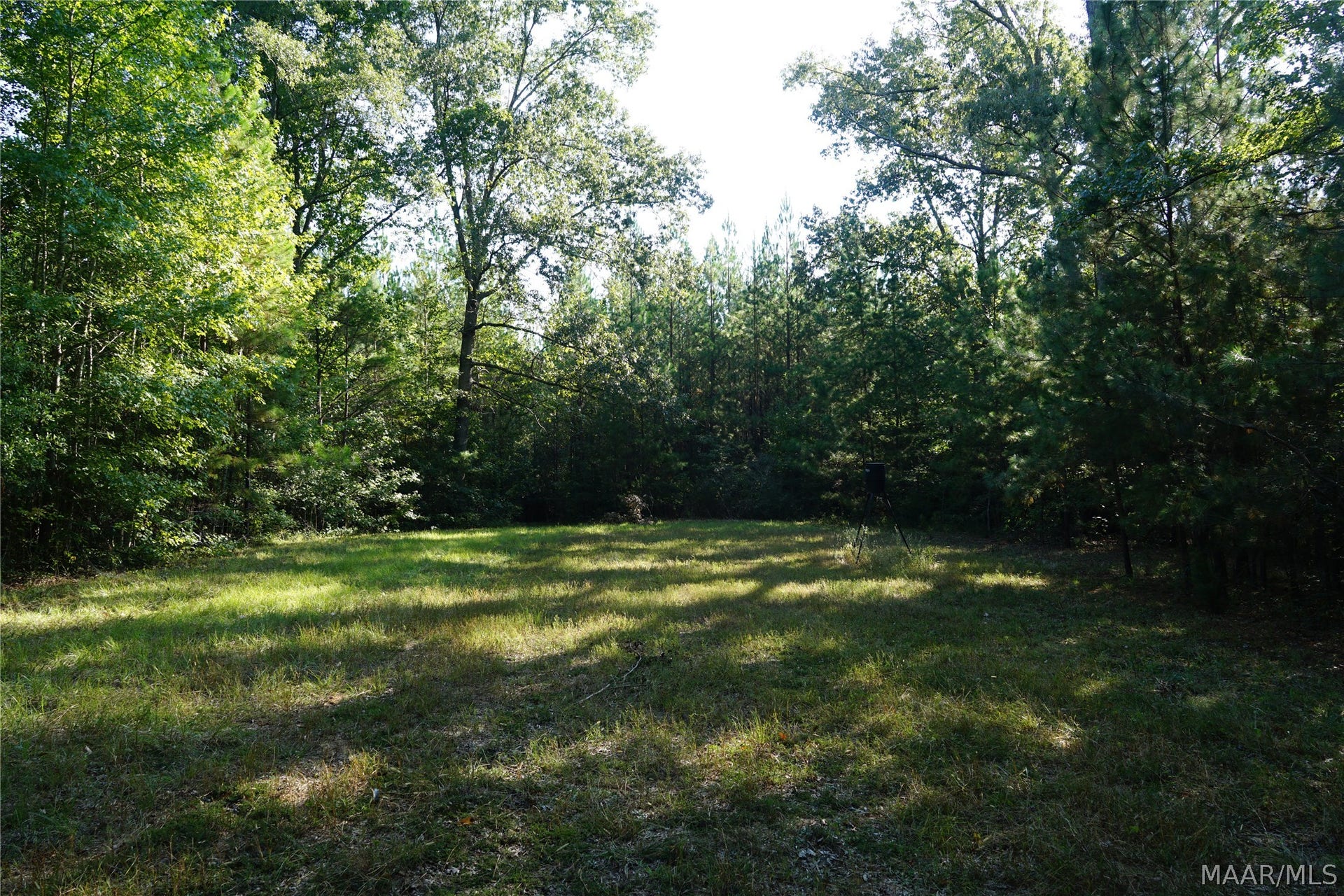 2202 Gibson Road, Montgomery, AL 36116 2202 Gibson Road, Montgomery, AL 36116