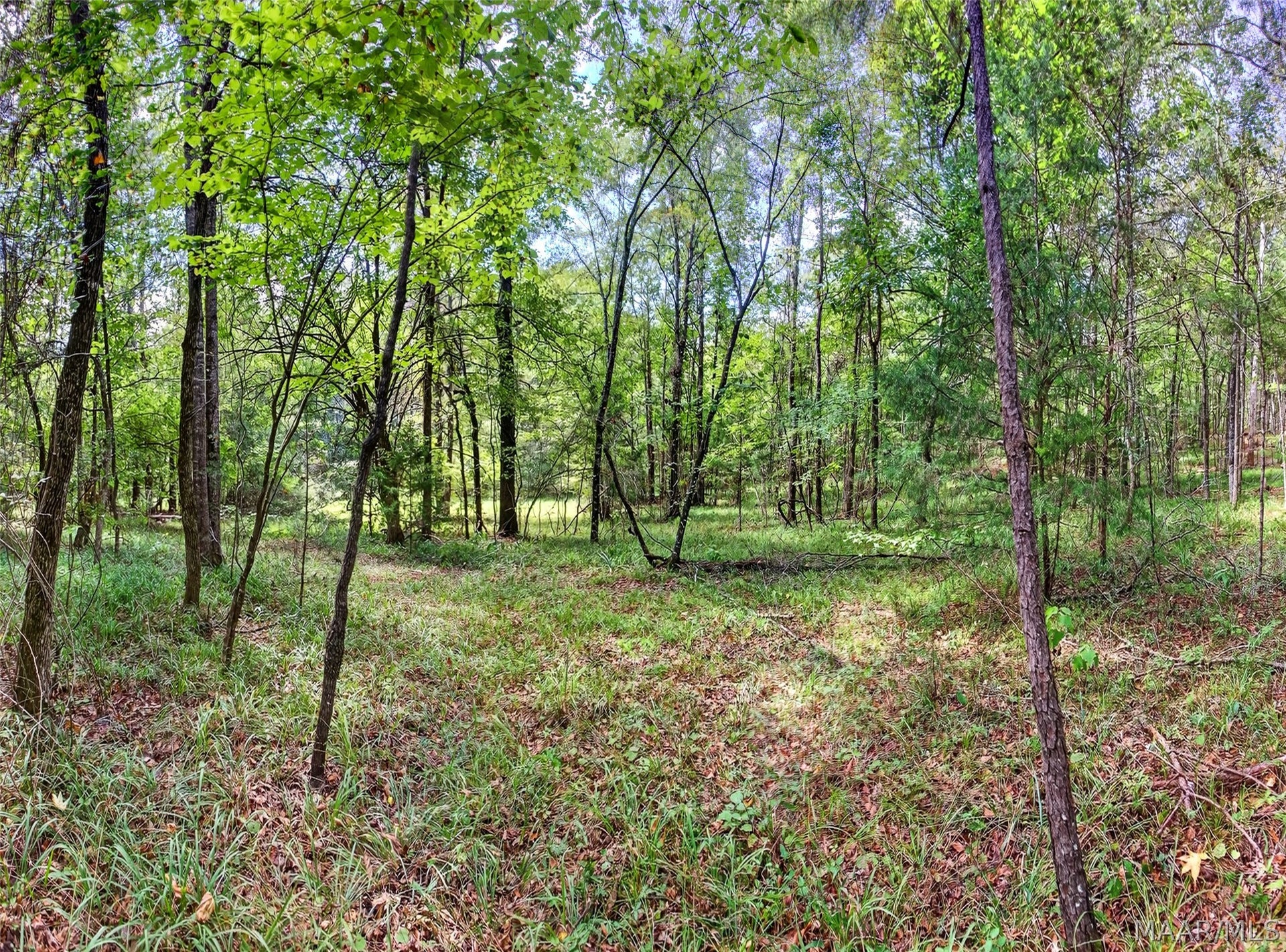 6782 Union Academy Ada Road, Hope Hull, AL 36043