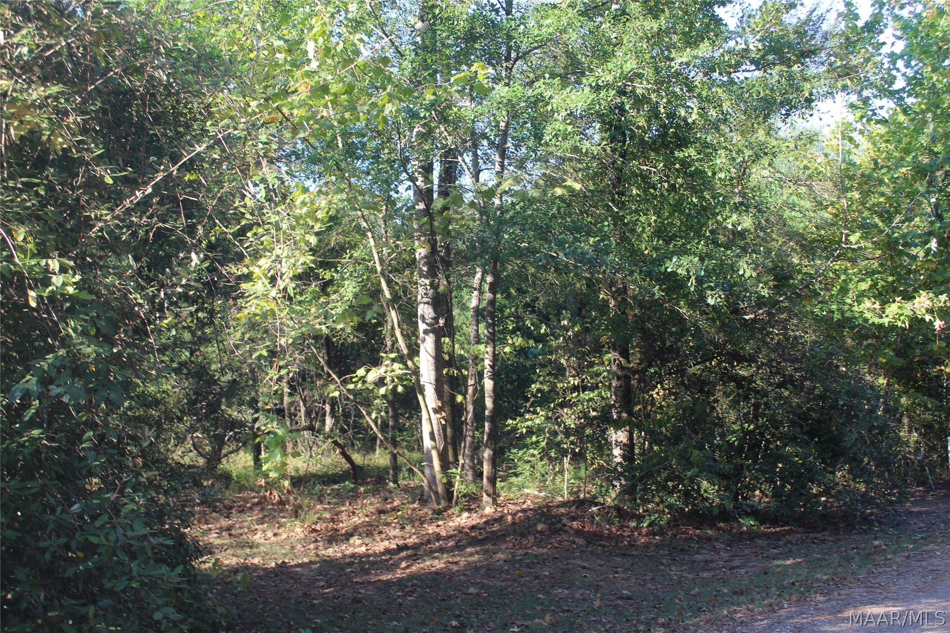 O Woodvalley Road, Greenville, AL 36037