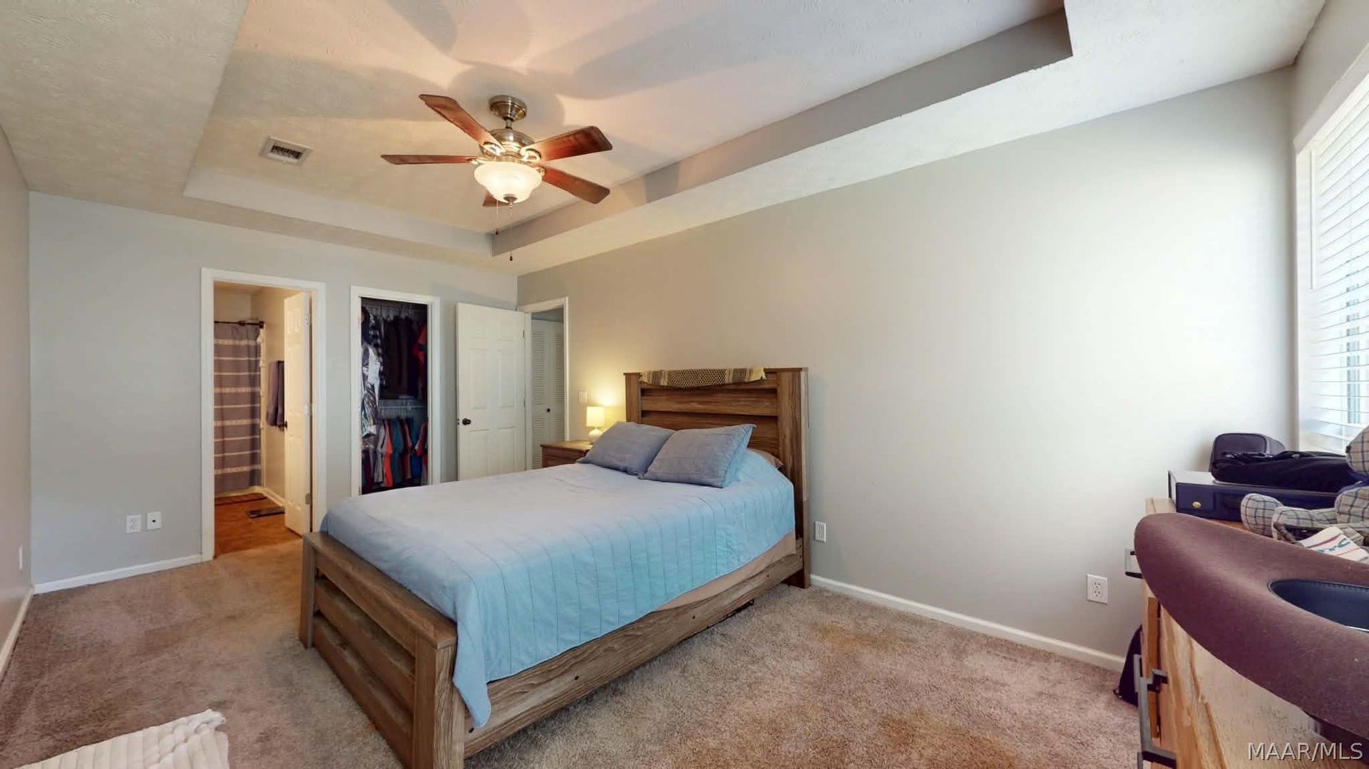 250 Mill Ridge Drive, Millbrook, AL 36054 Large primary bedroom with trey ceiling