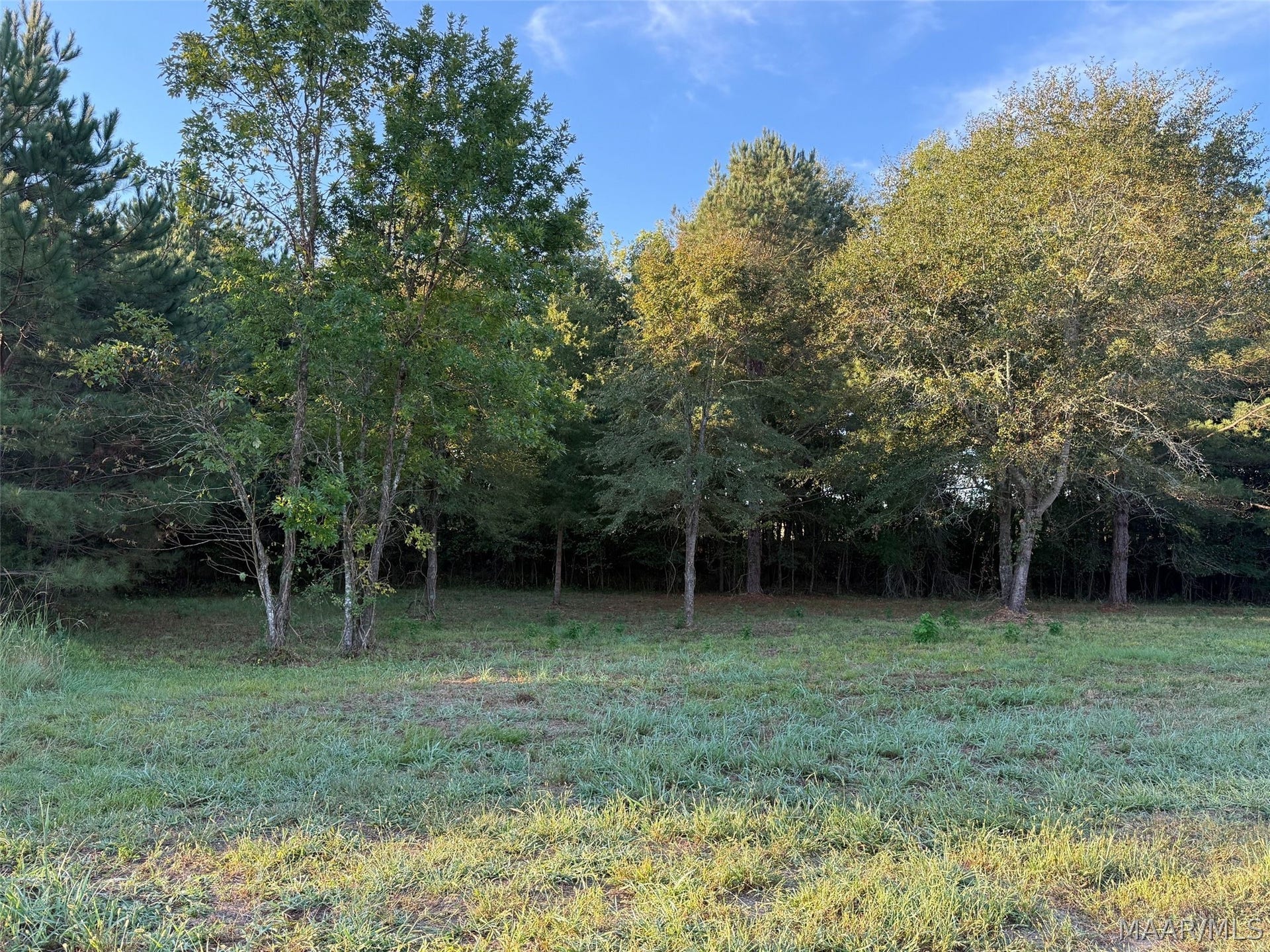 334 DANI Lane, Mathews, AL 36052 334 DANI Lane, Mathews, AL 36052