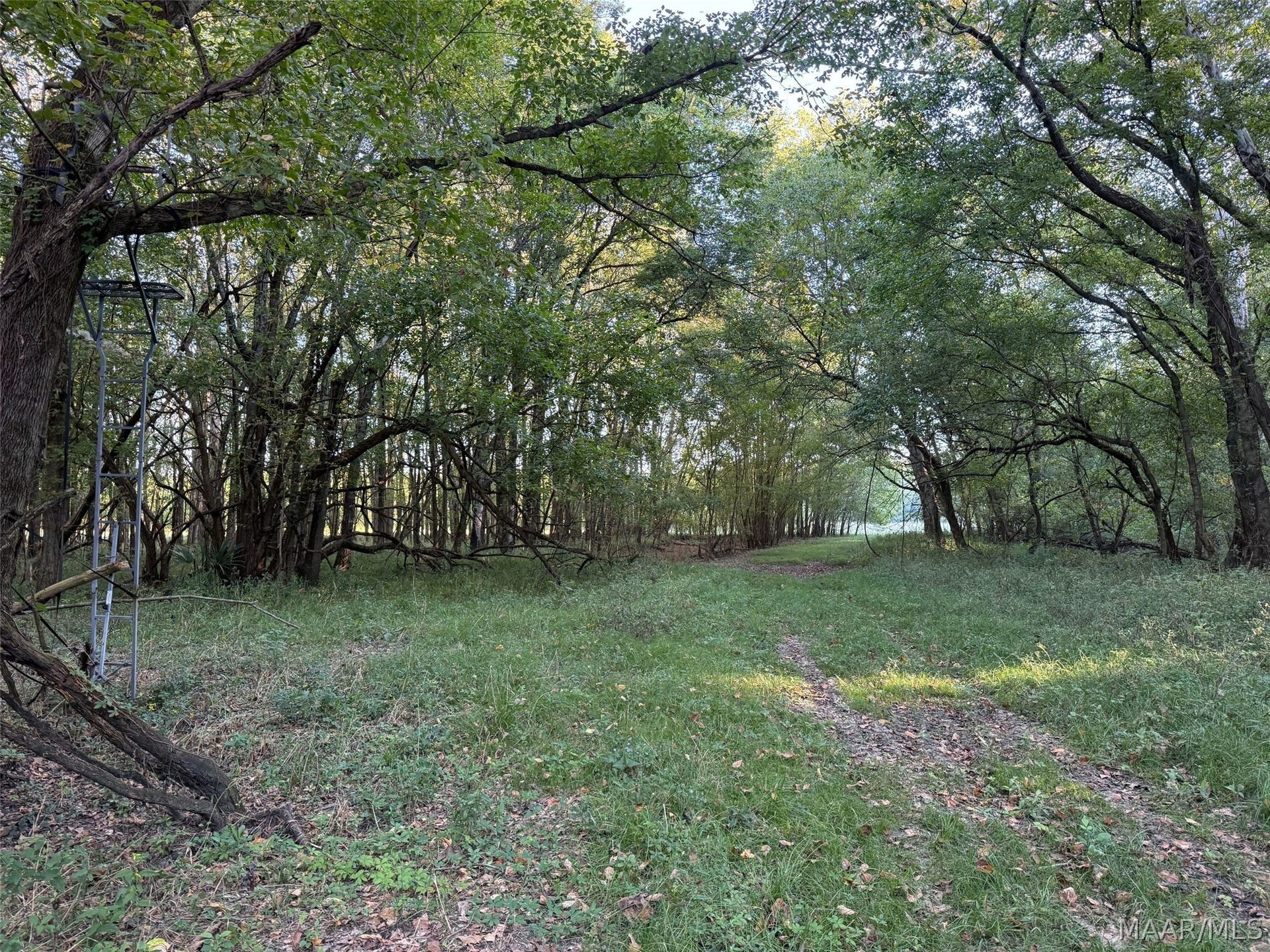 334 DANI Lane, Mathews, AL 36052 334 DANI Lane, Mathews, AL 36052