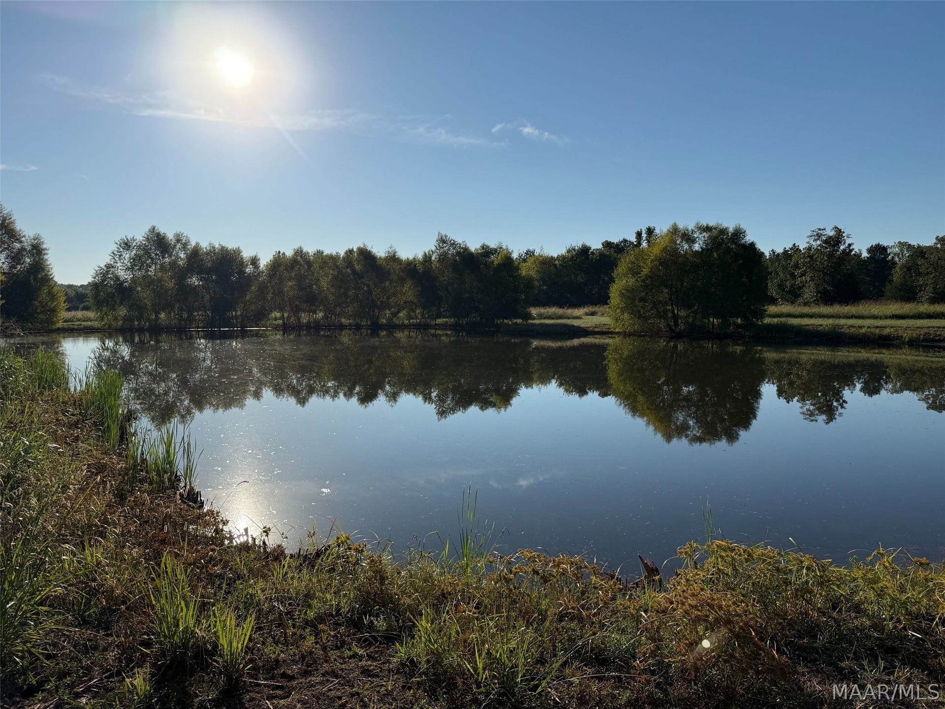 334 DANI Lane, Mathews, AL 36052 334 DANI Lane, Mathews, AL 36052
