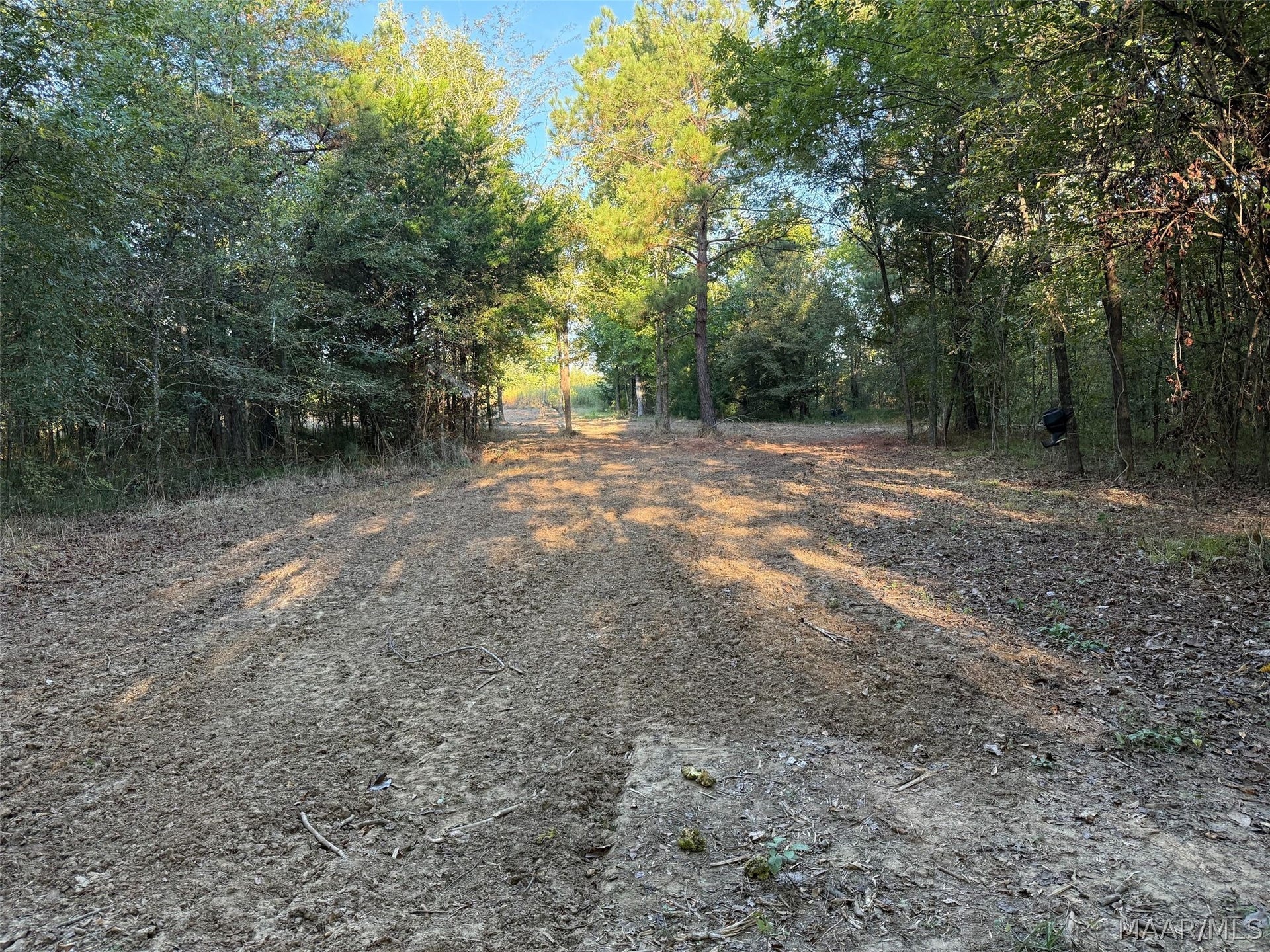 334 DANI Lane, Mathews, AL 36052 334 DANI Lane, Mathews, AL 36052
