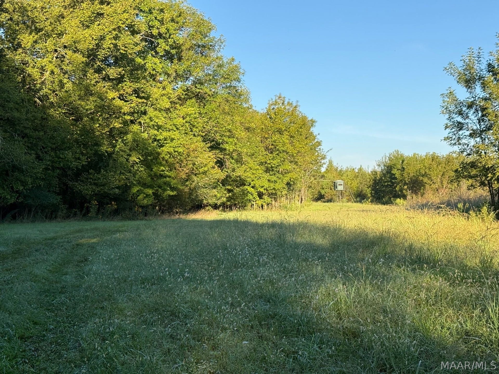 334 DANI Lane, Mathews, AL 36052 334 DANI Lane, Mathews, AL 36052