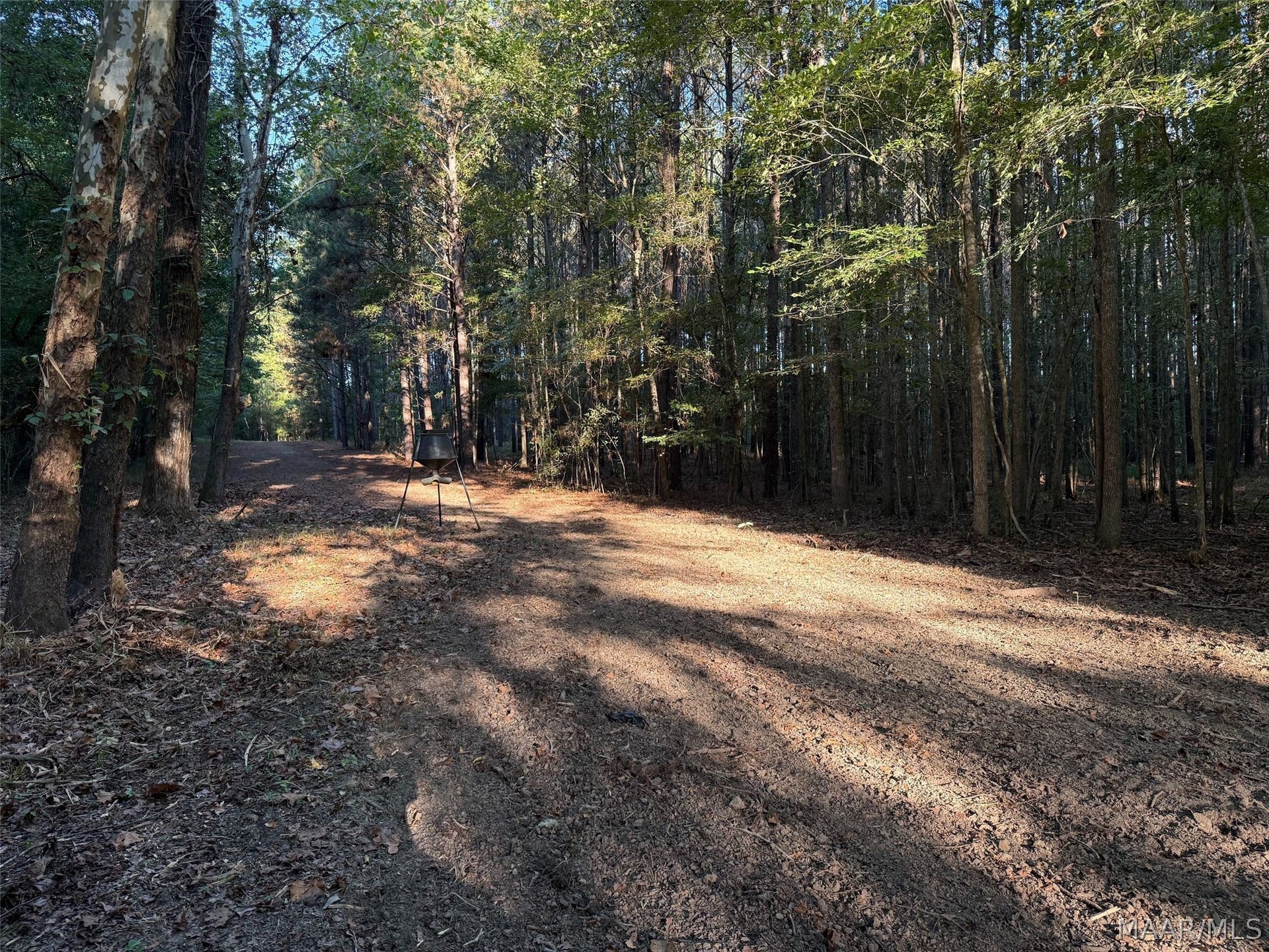334 DANI Lane, Mathews, AL 36052 334 DANI Lane, Mathews, AL 36052