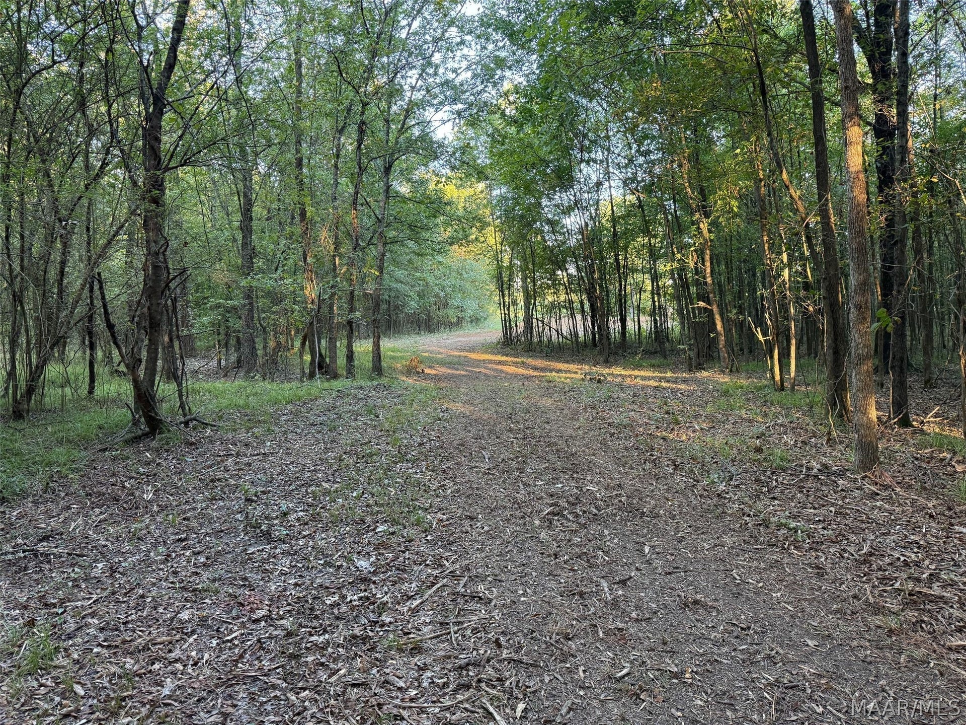 334 DANI Lane, Mathews, AL 36052 334 DANI Lane, Mathews, AL 36052