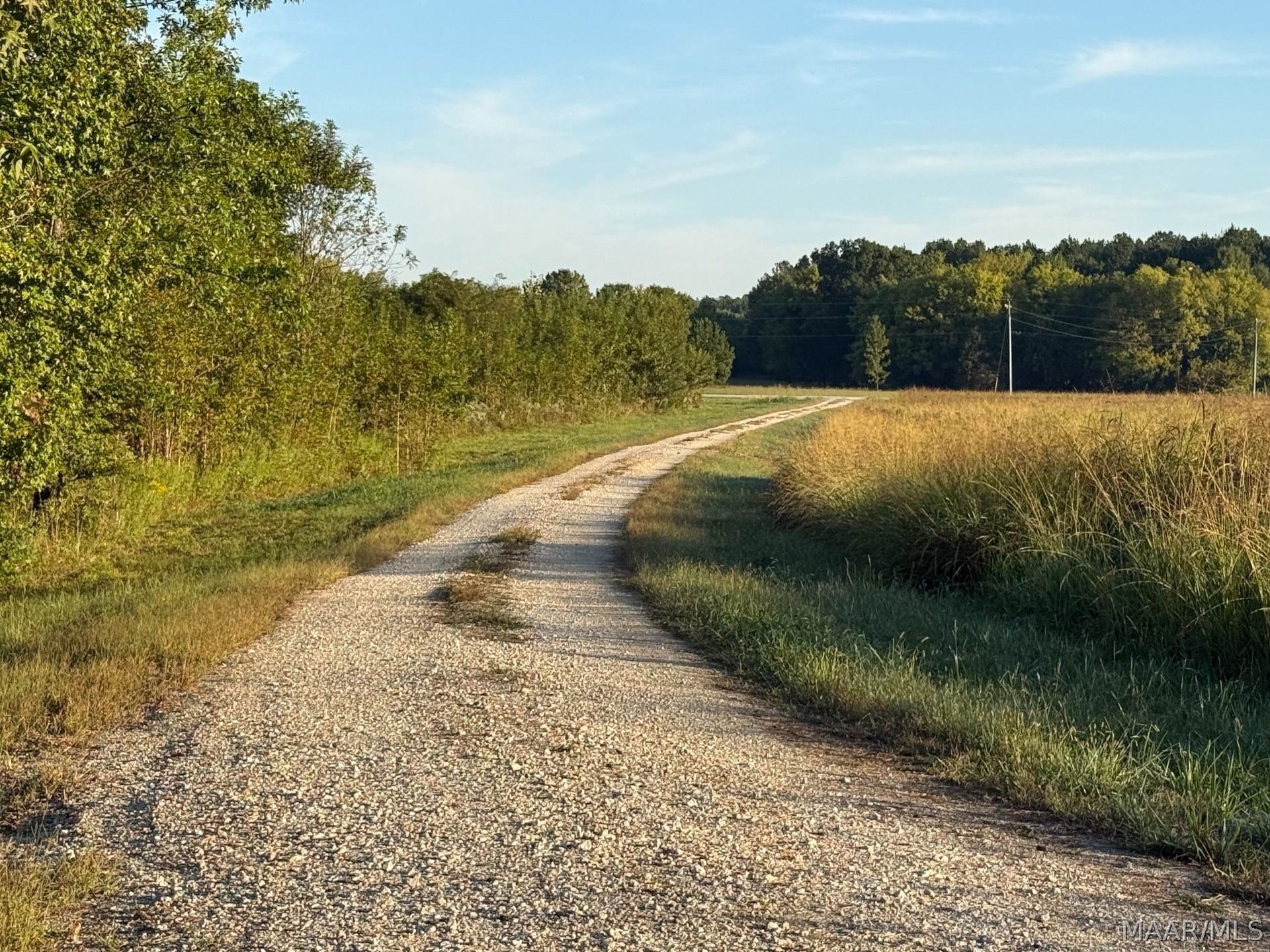334 DANI Lane, Mathews, AL 36052 334 DANI Lane, Mathews, AL 36052