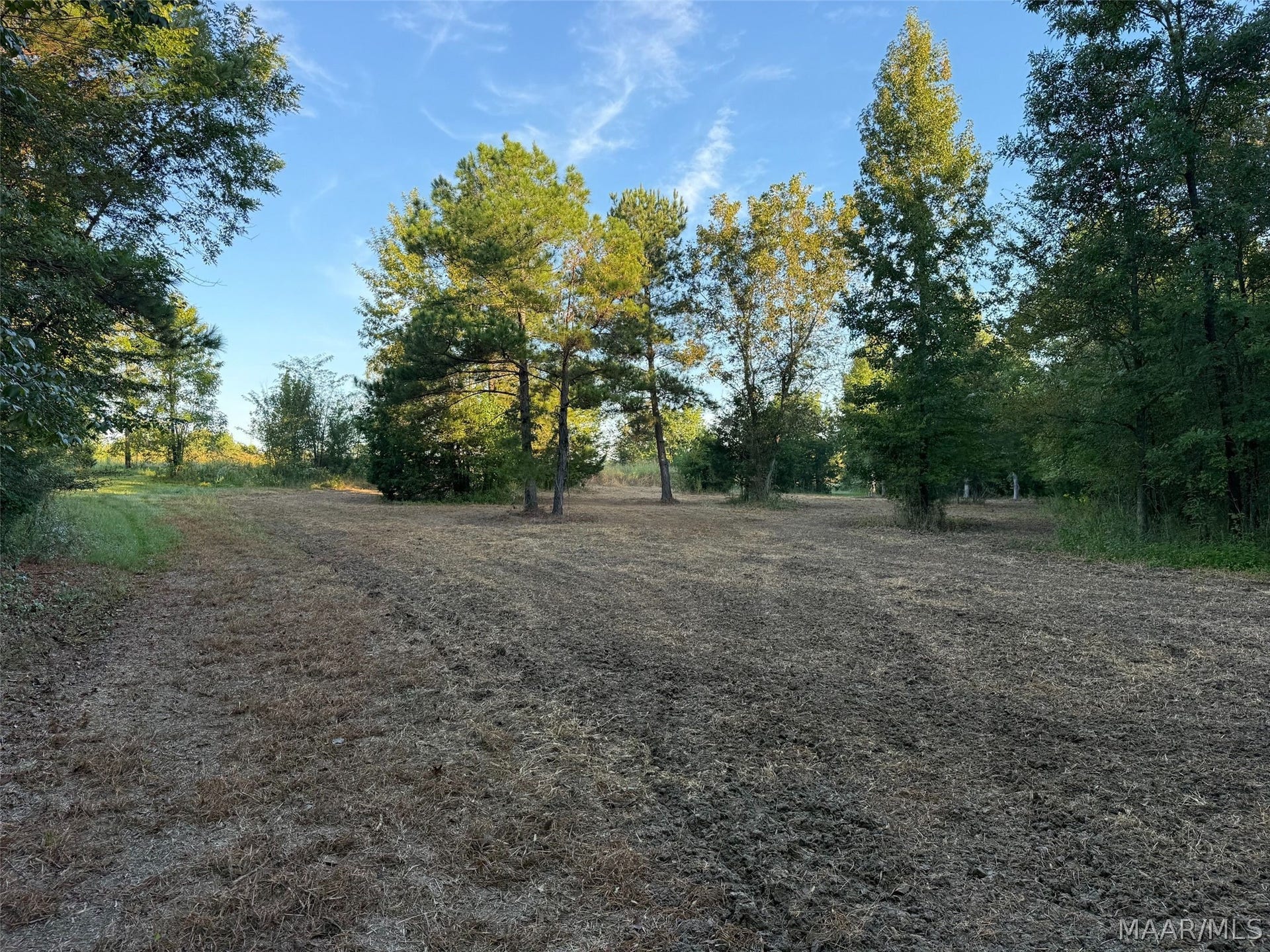 334 DANI Lane, Mathews, AL 36052 334 DANI Lane, Mathews, AL 36052
