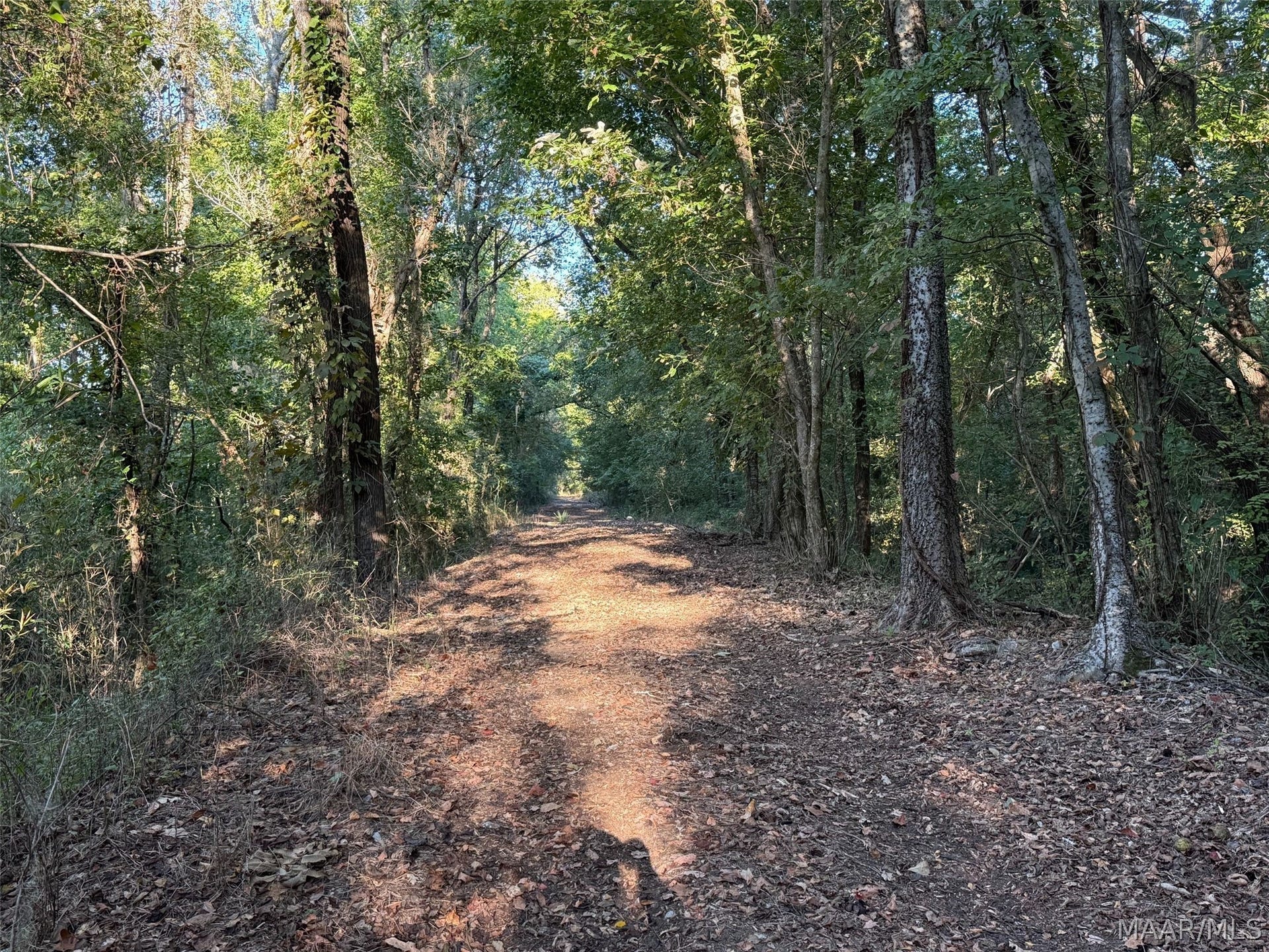 334 DANI Lane, Mathews, AL 36052 334 DANI Lane, Mathews, AL 36052