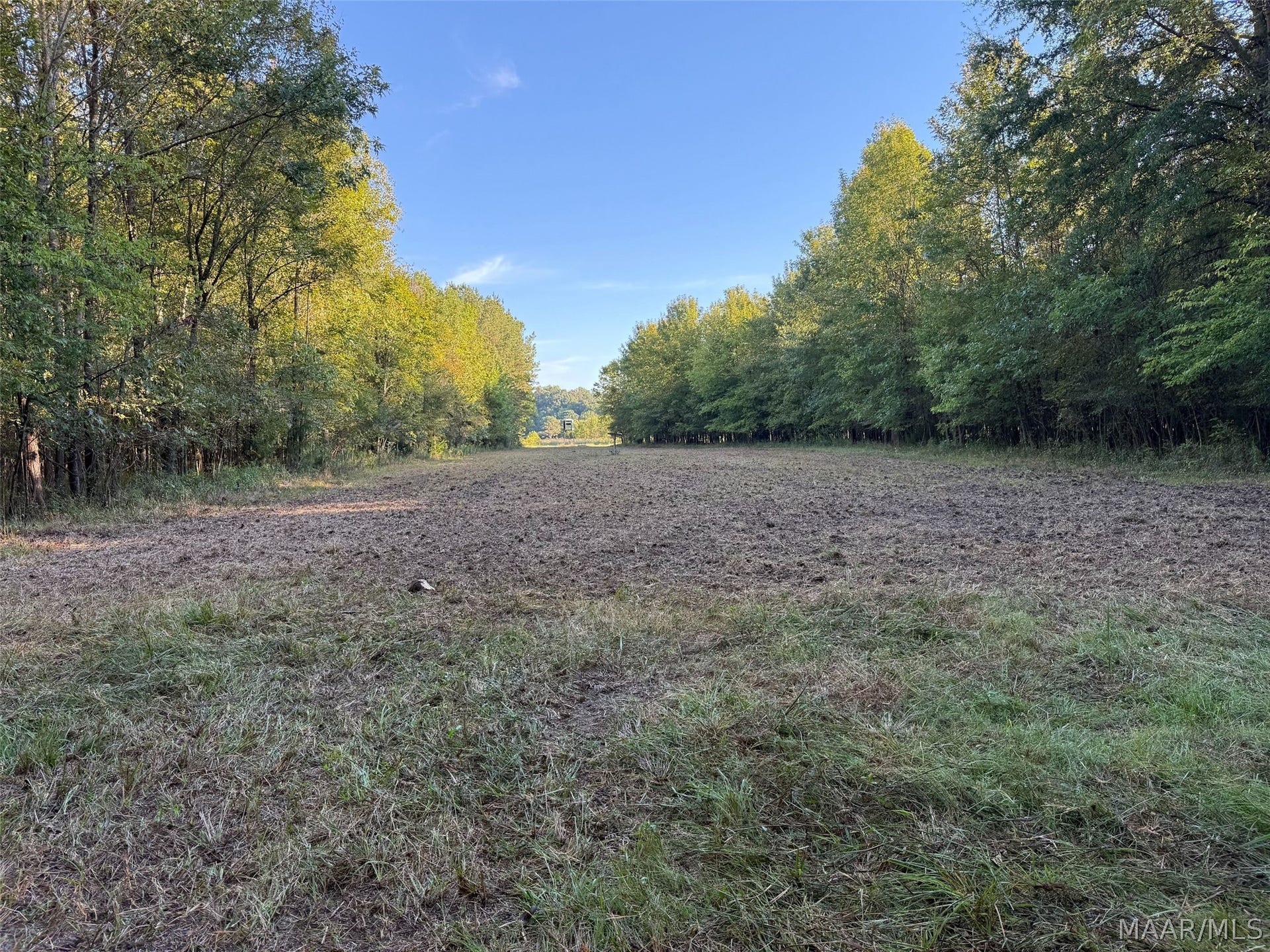 334 DANI Lane, Mathews, AL 36052 334 DANI Lane, Mathews, AL 36052