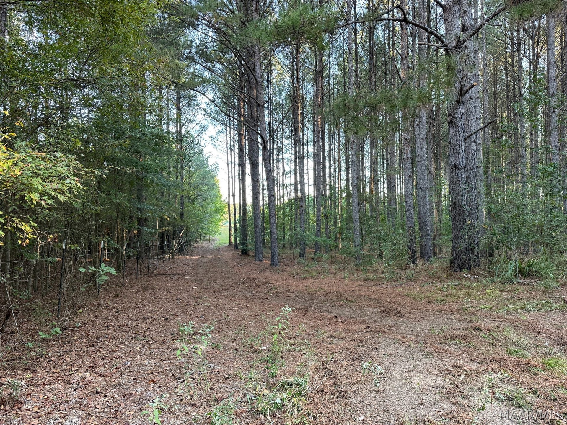 334 DANI Lane, Mathews, AL 36052 334 DANI Lane, Mathews, AL 36052
