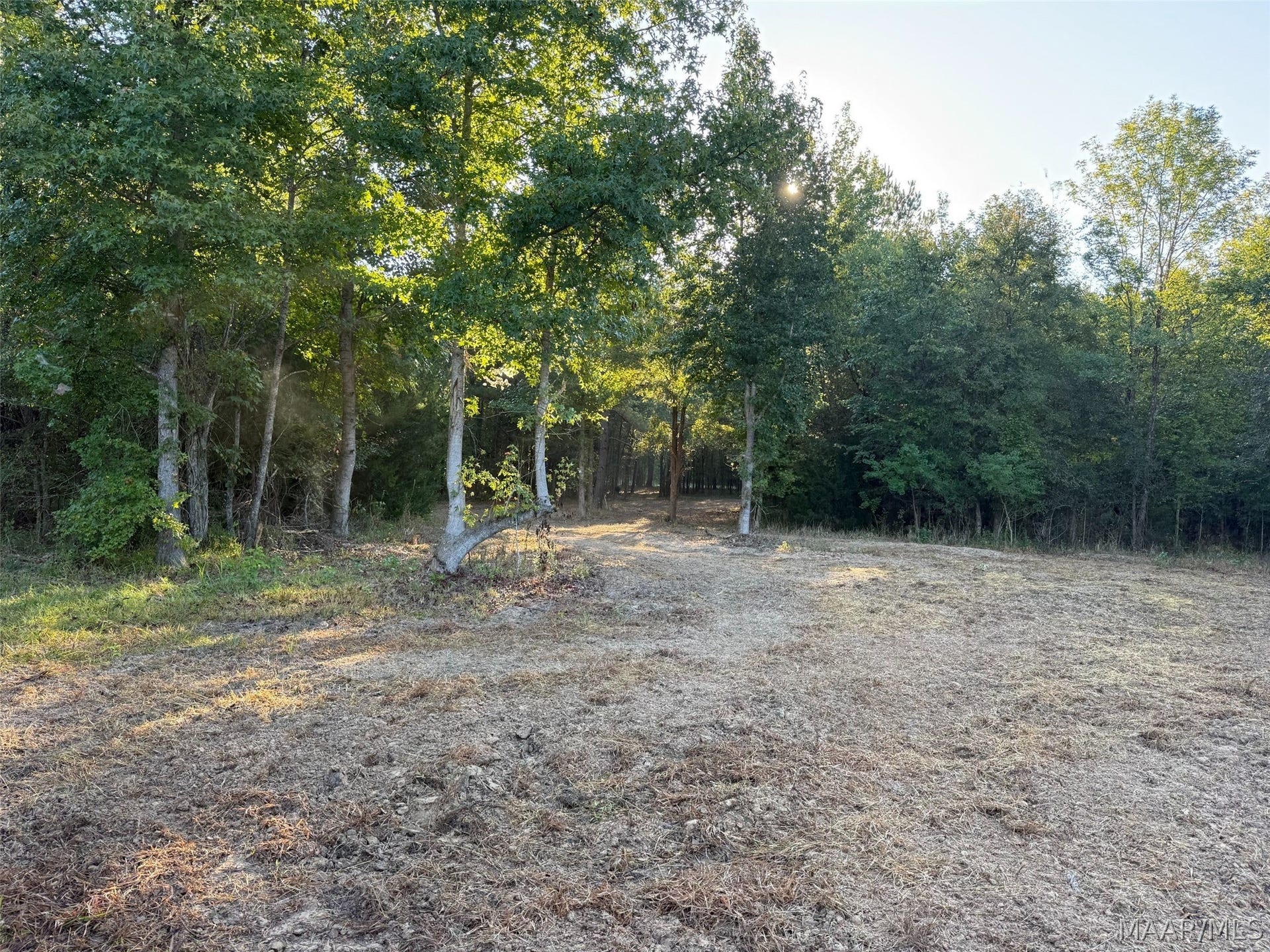 334 DANI Lane, Mathews, AL 36052 334 DANI Lane, Mathews, AL 36052