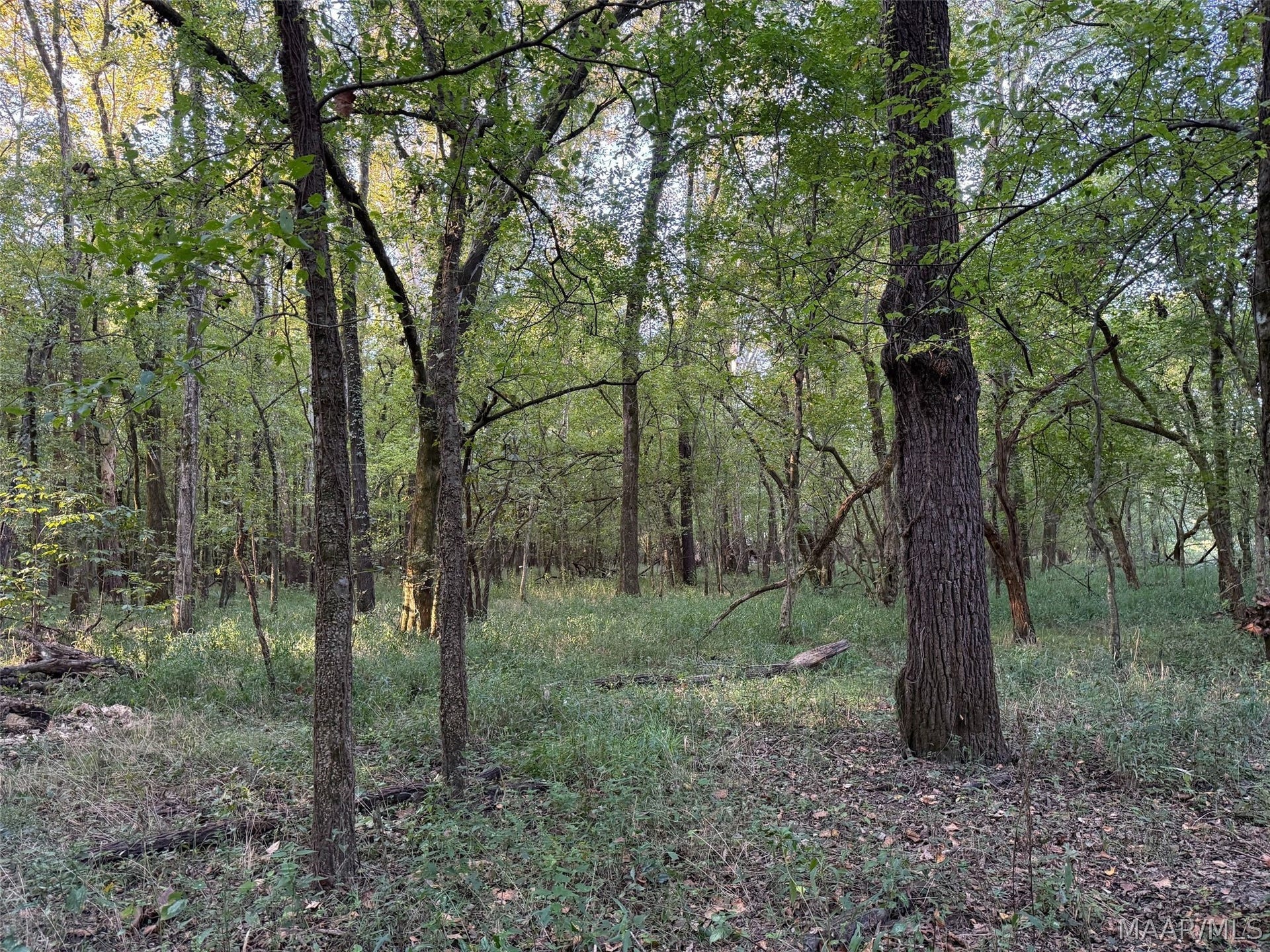 334 DANI Lane, Mathews, AL 36052 334 DANI Lane, Mathews, AL 36052