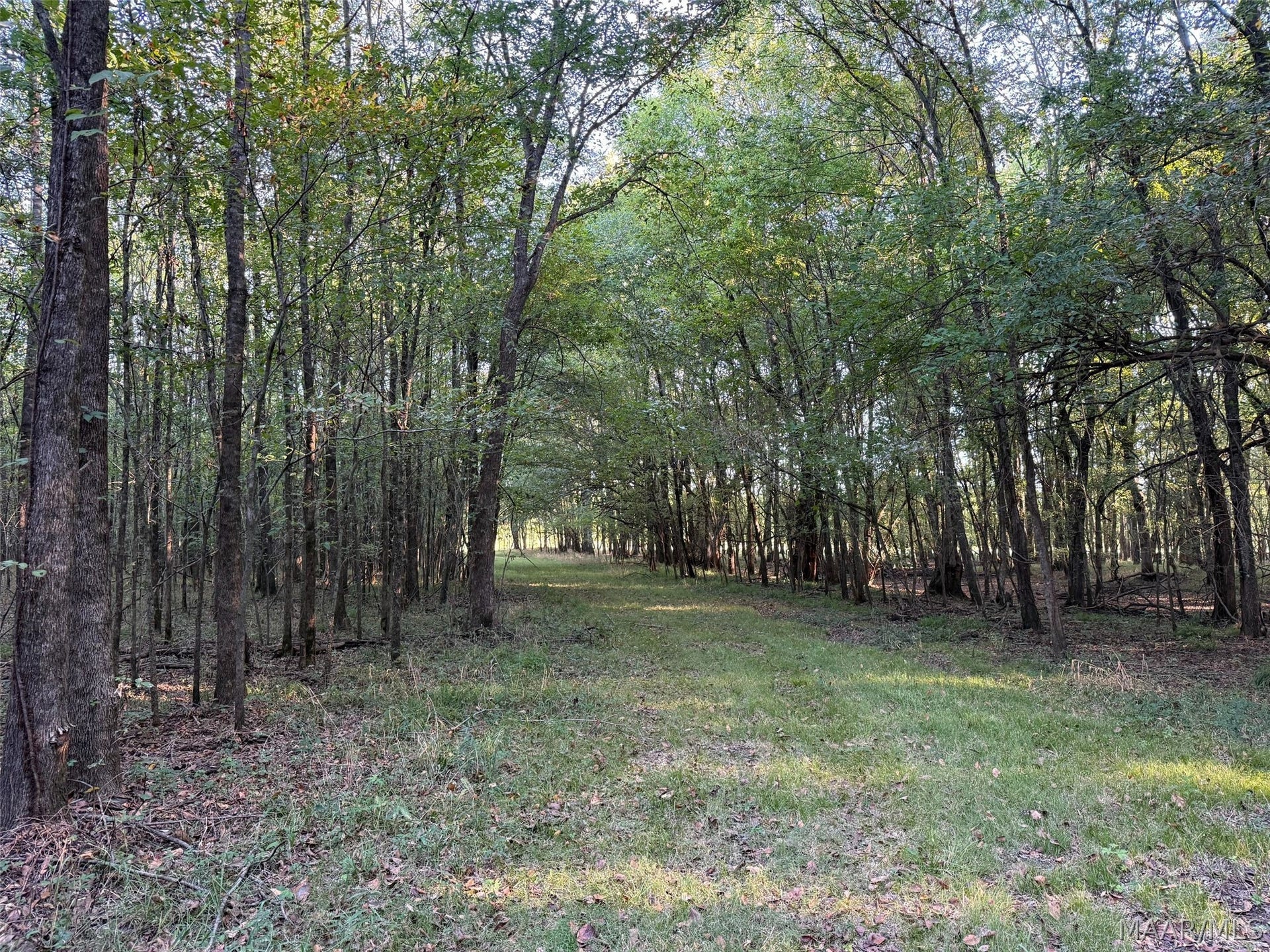 334 DANI Lane, Mathews, AL 36052 334 DANI Lane, Mathews, AL 36052