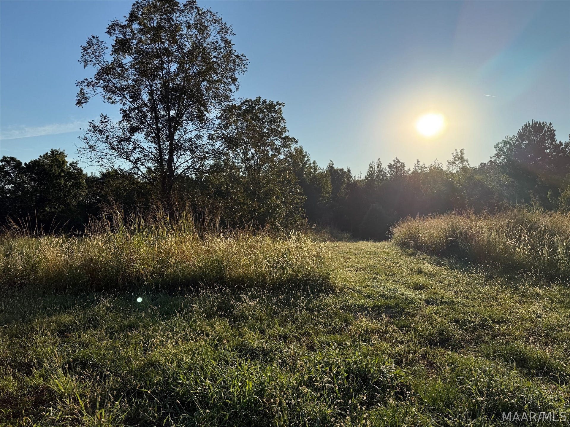 334 DANI Lane, Mathews, AL 36052 334 DANI Lane, Mathews, AL 36052