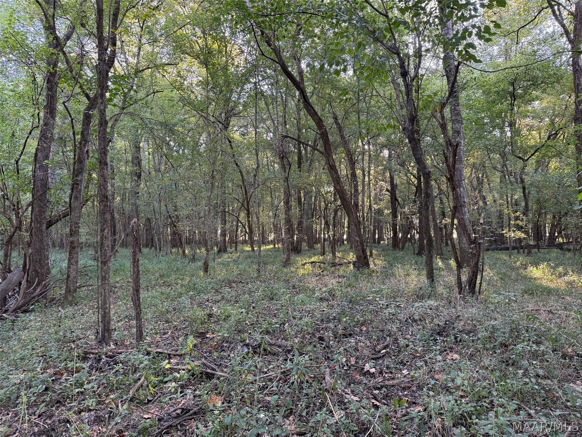 334 DANI Lane, Mathews, AL 36052 334 DANI Lane, Mathews, AL 36052