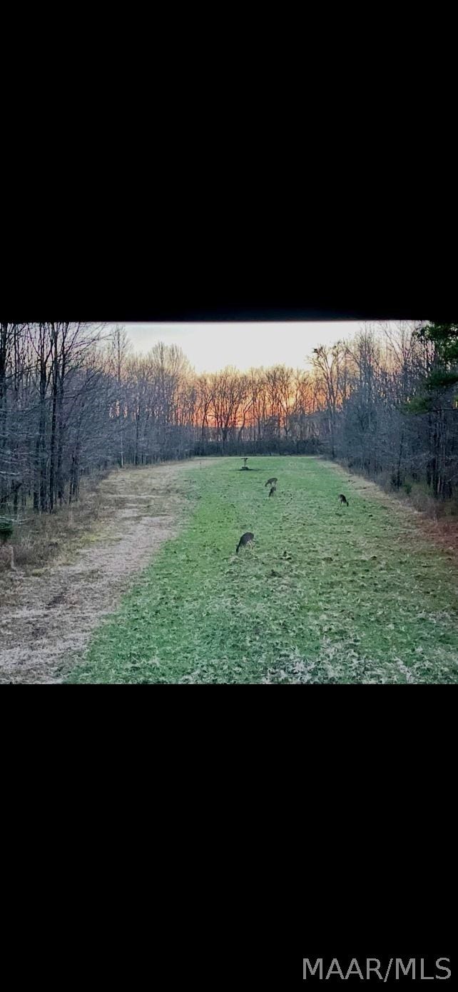 334 DANI Lane, Mathews, AL 36052 334 DANI Lane, Mathews, AL 36052