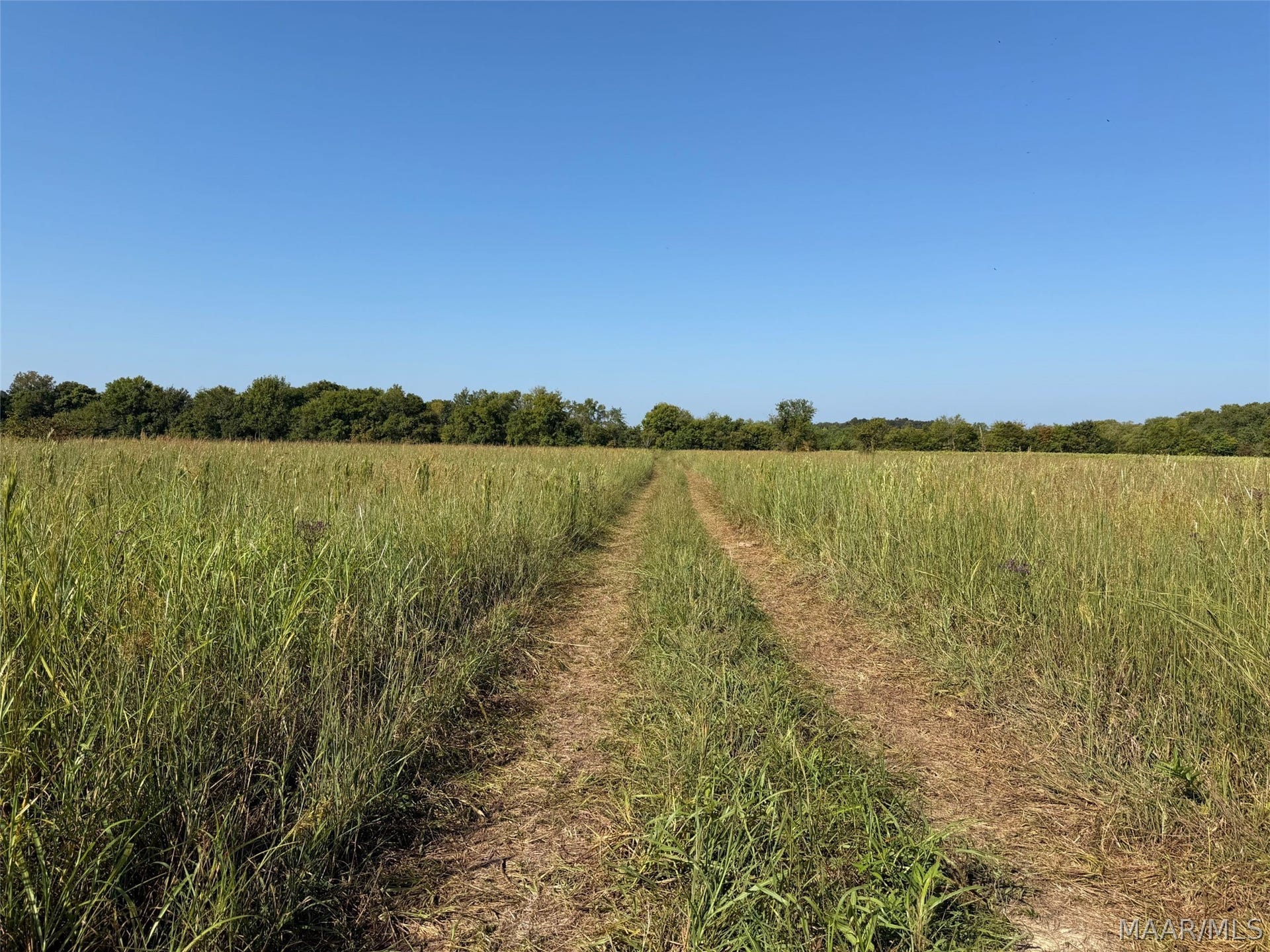 0 WALLAHATCHIE Road, Pike Road, AL 36064 0 WALLAHATCHIE Road, Pike Road, AL 36064