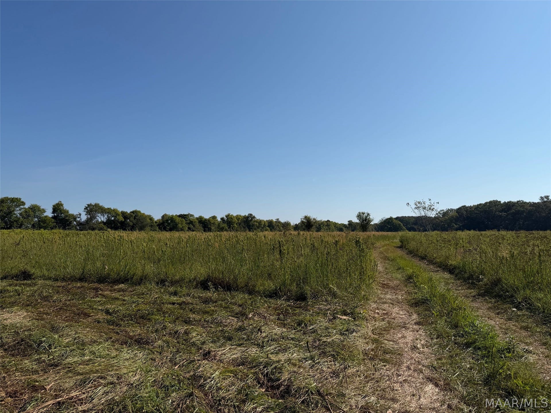 0 WALLAHATCHIE Road, Pike Road, AL 36064 0 WALLAHATCHIE Road, Pike Road, AL 36064