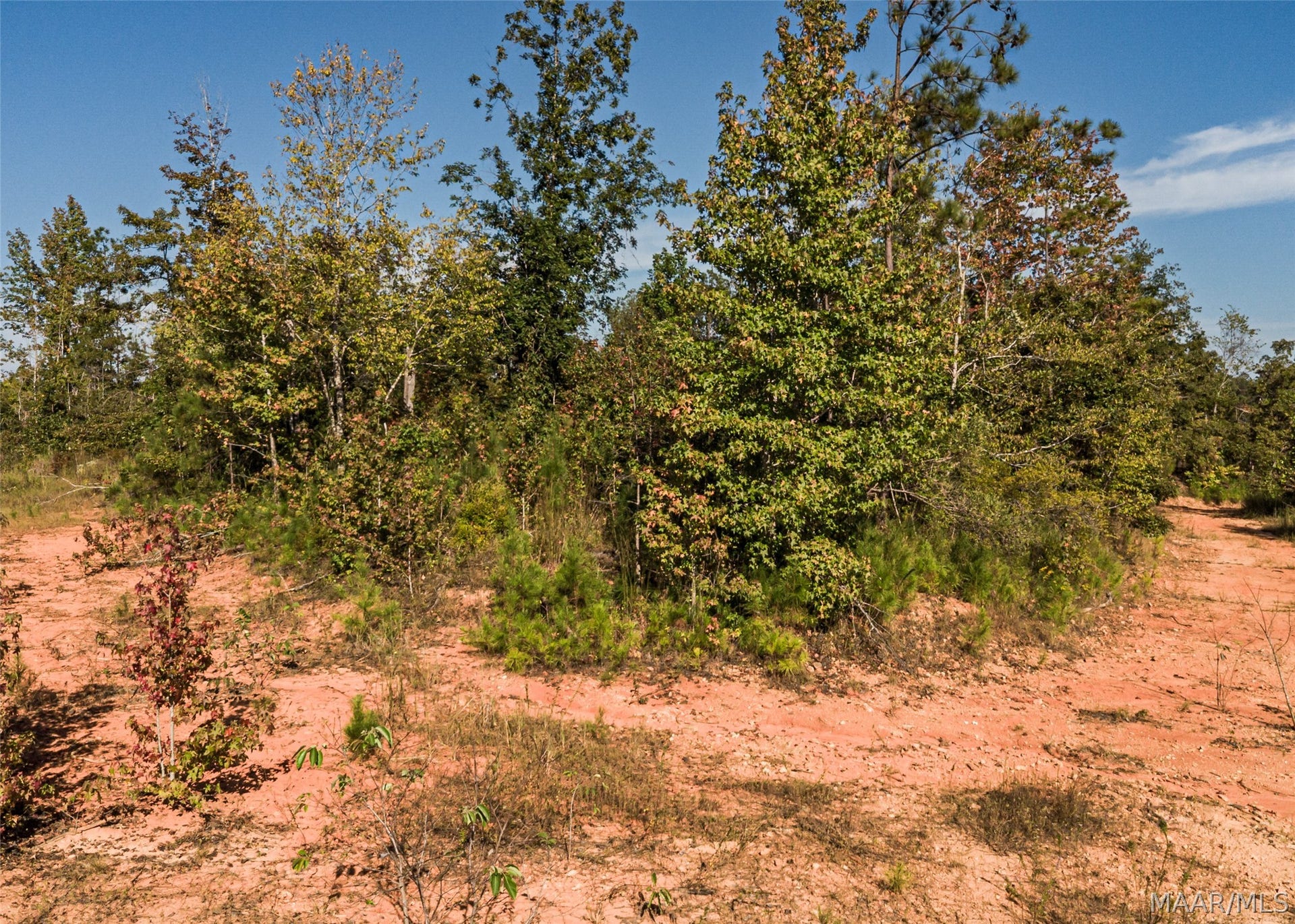 0 County Road 14 Road, Equality, AL 36026 0 County Road 14 Road, Equality, AL 36026