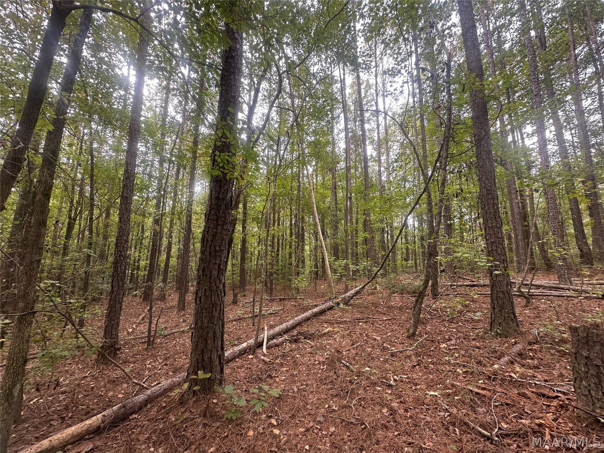 1620 Grass Farm Road, Titus, AL 36080