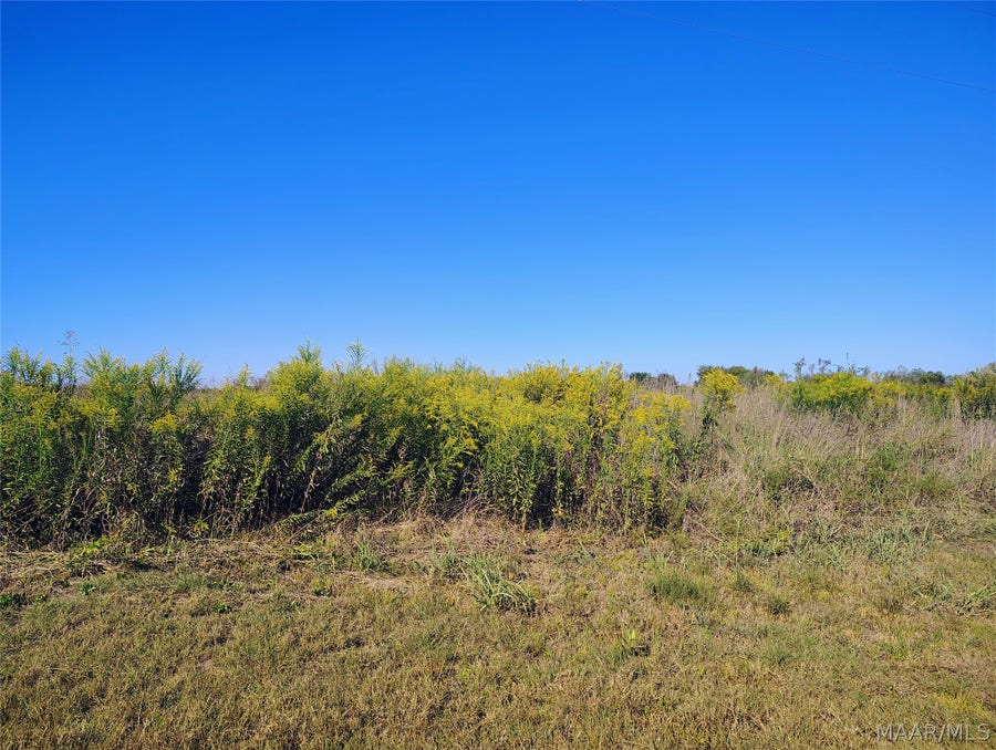 Property photo for 237 Greenleaf Road, Lowndesboro, AL