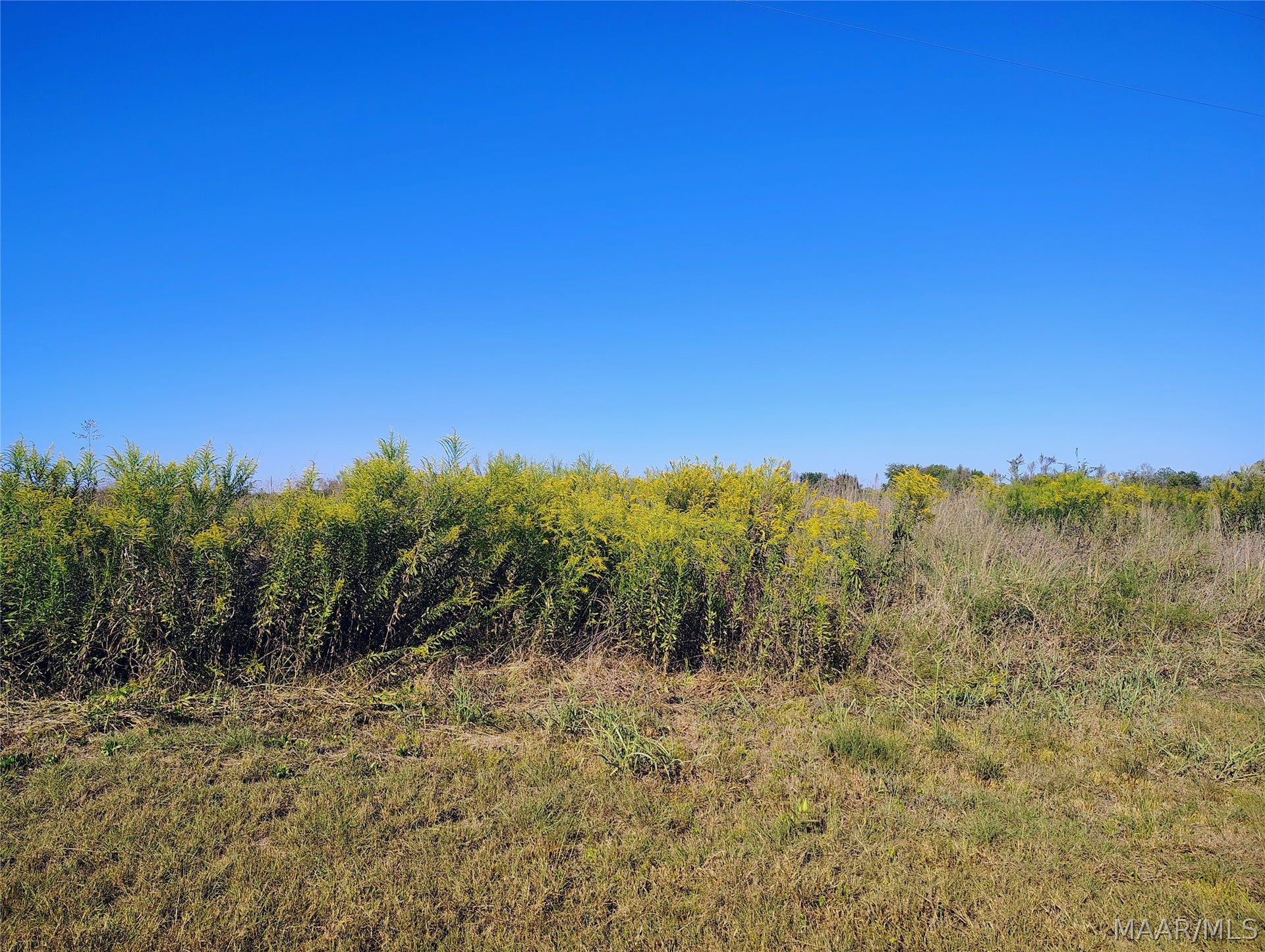 237 Greenleaf Road, Lowndesboro, AL 36043 237 Greenleaf Road, Lowndesboro, AL 36043